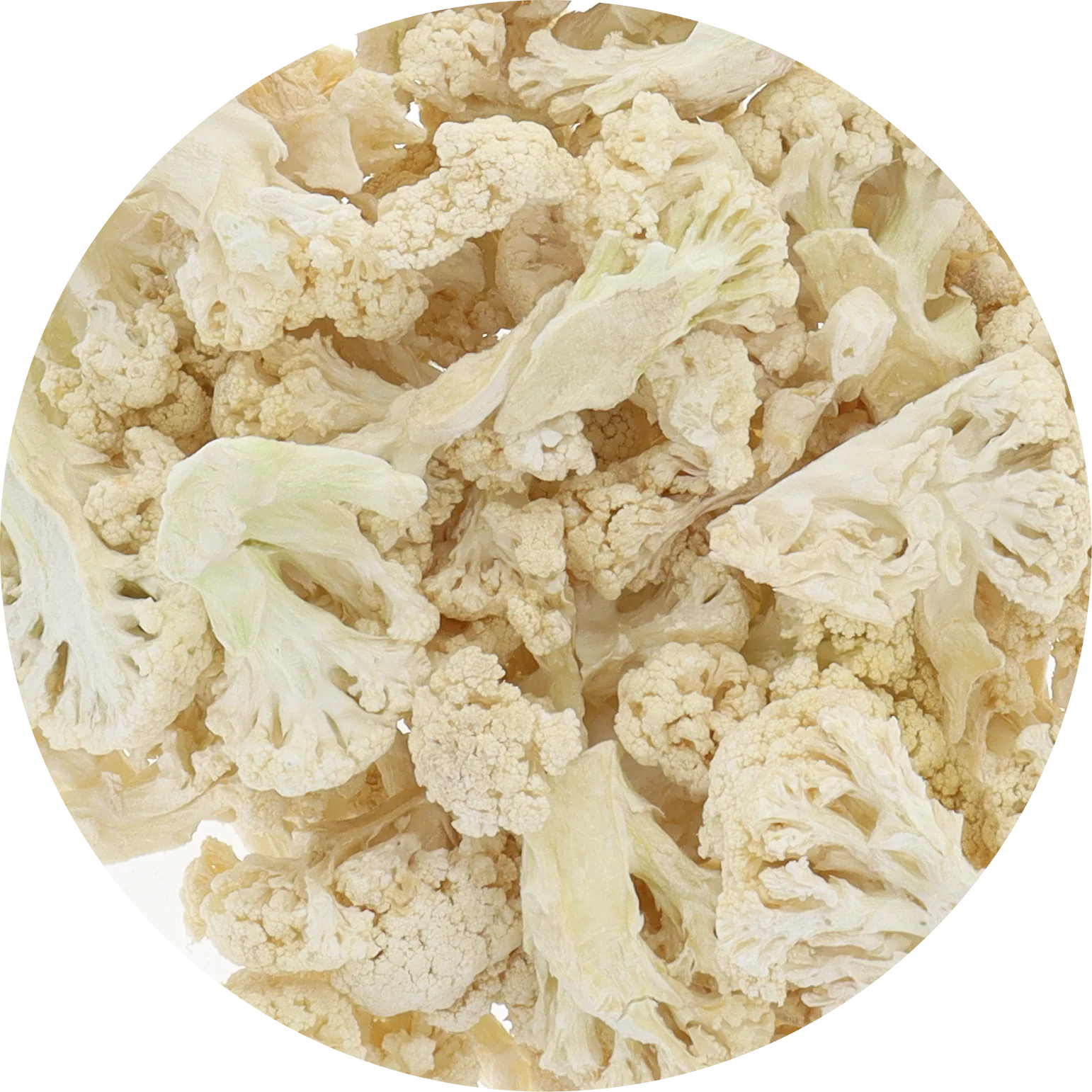 Freeze Dried Cauliflower - Image 4