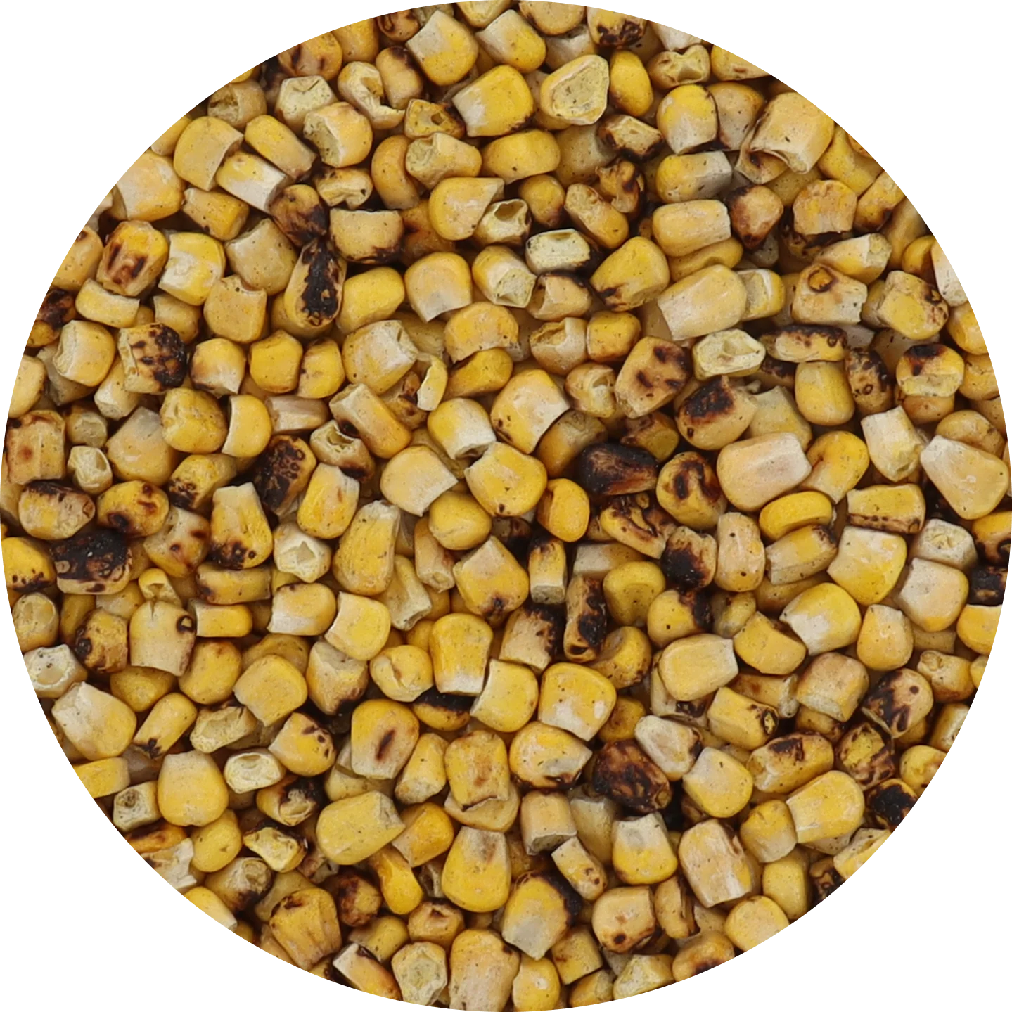 Freeze Dried Corn - Plain - Image 25