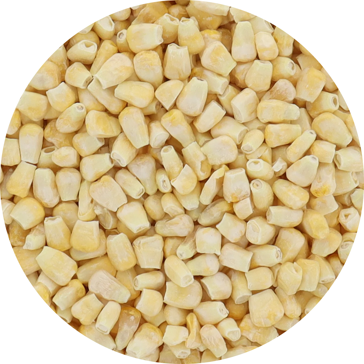 Freeze Dried Corn - Plain - Image 9