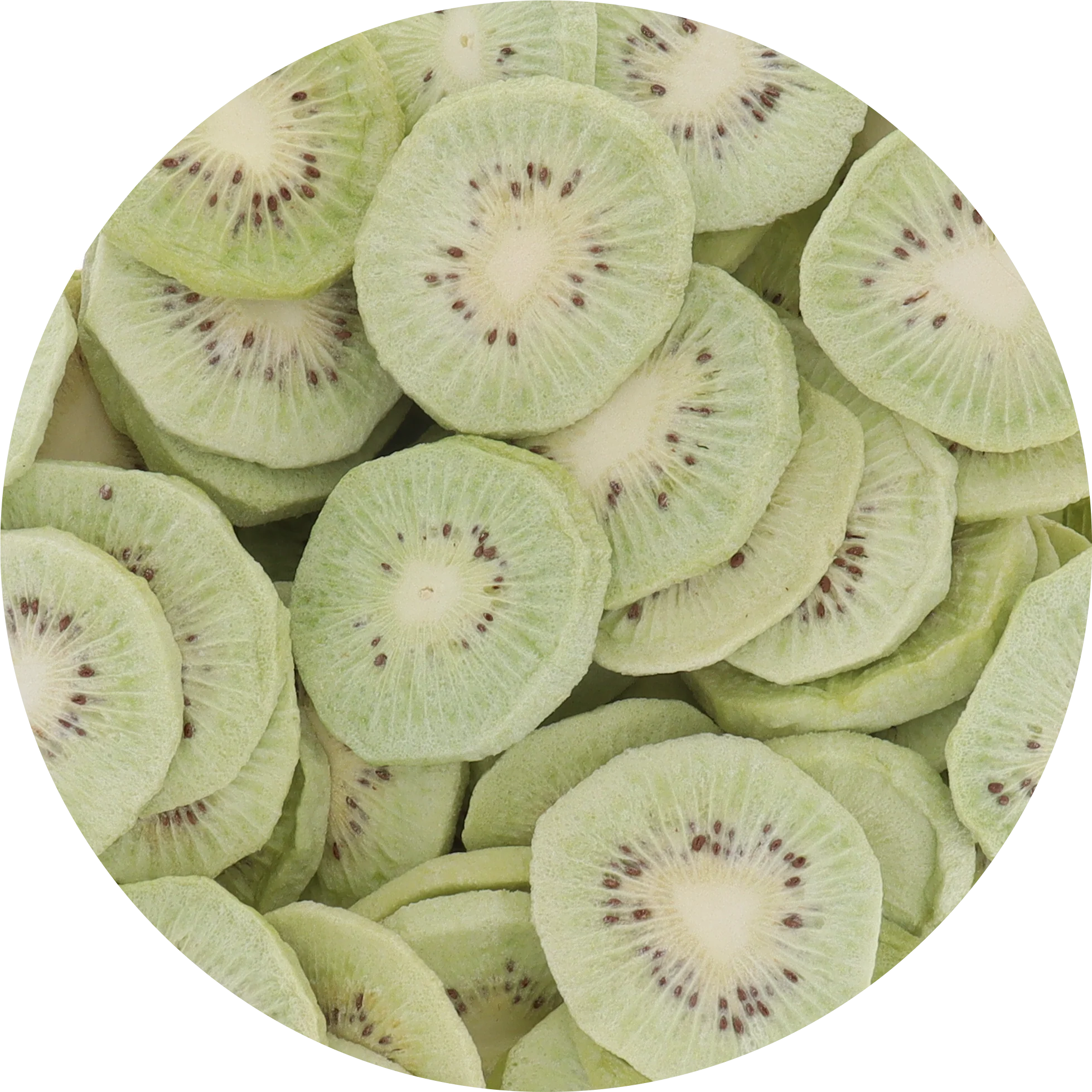 Freeze Dried Green Kiwi - Image 3