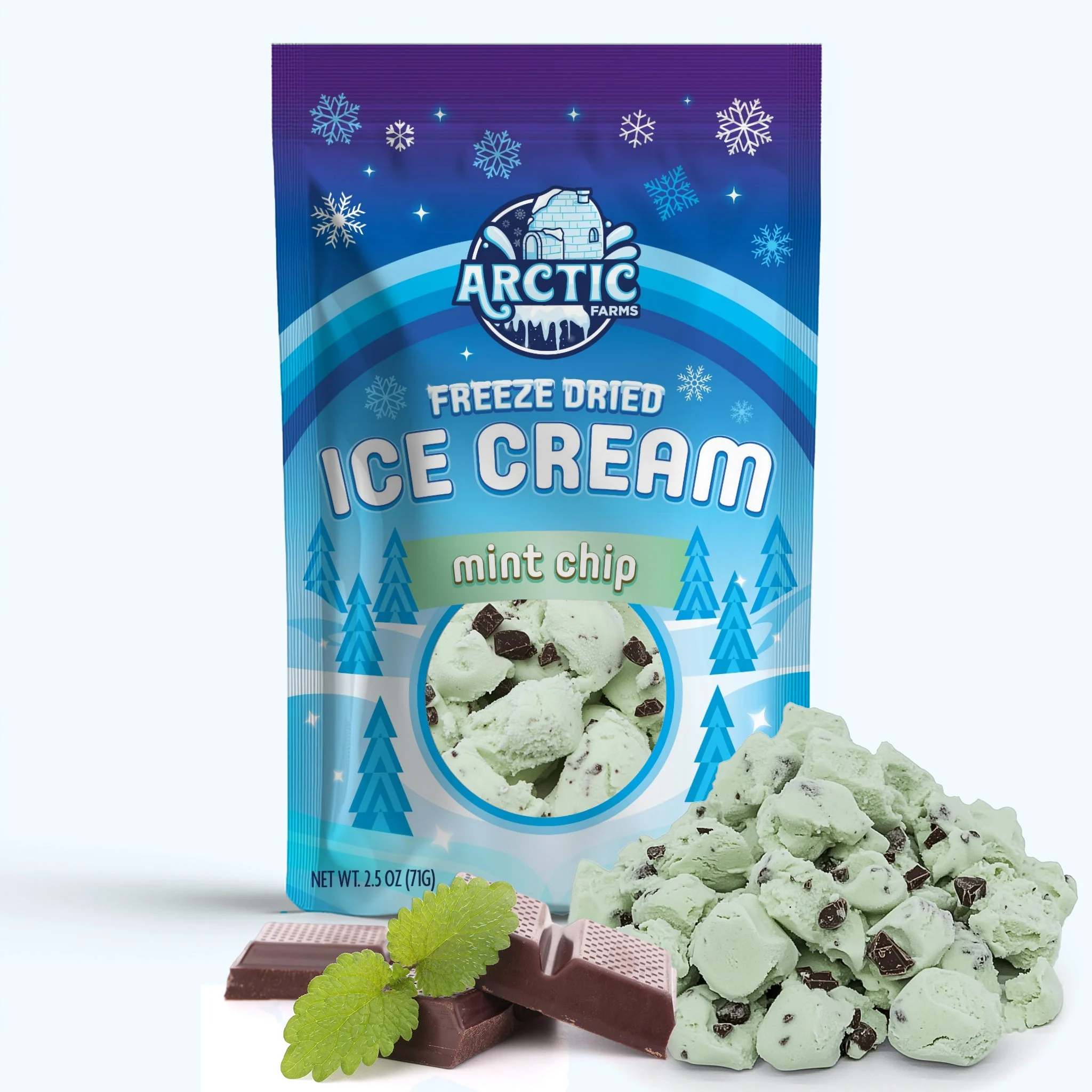 Freeze Dried Ice Cream That Does Not Melt (Bits) Mint Chip - Image 6
