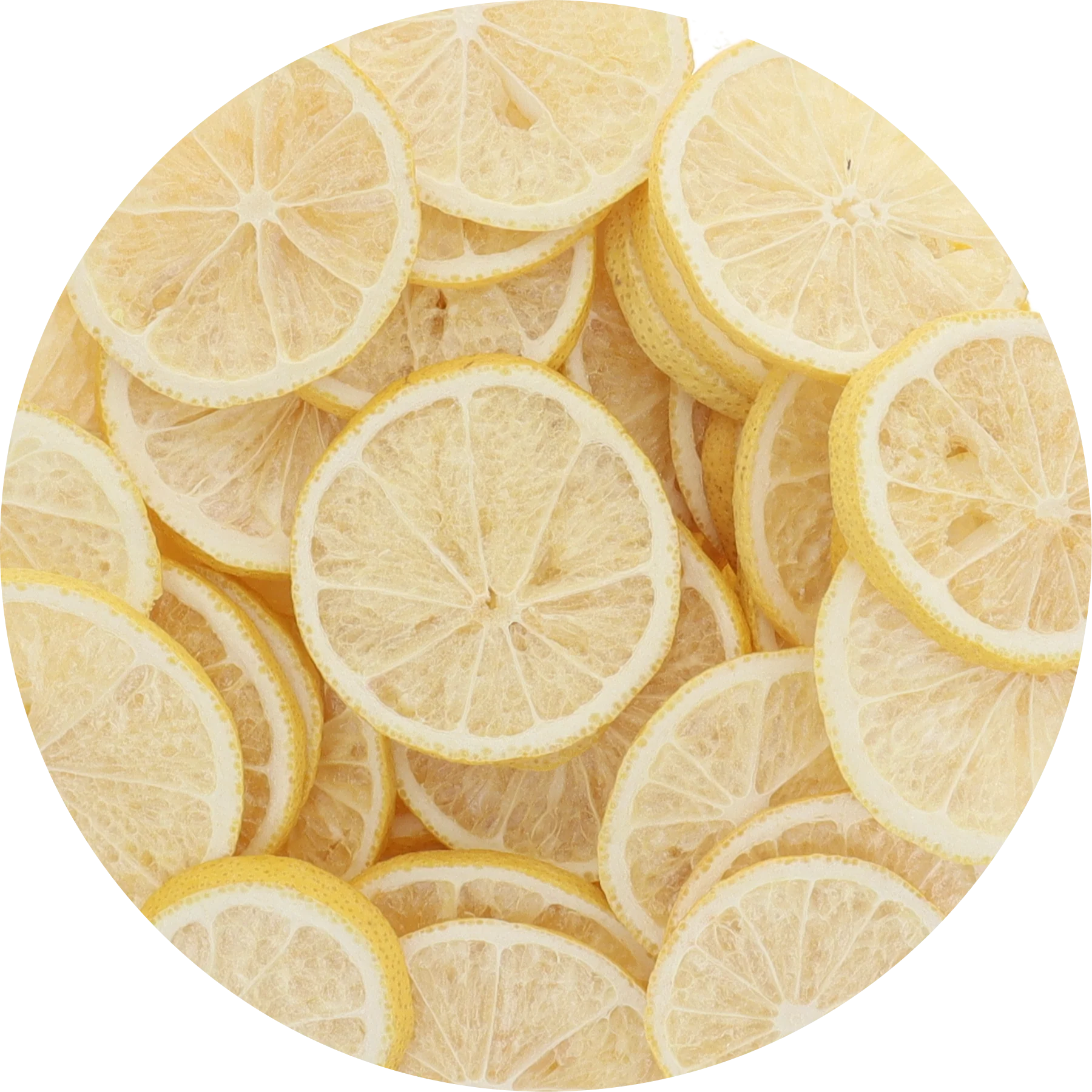 Freeze Dried Lemon Slices - Image 4