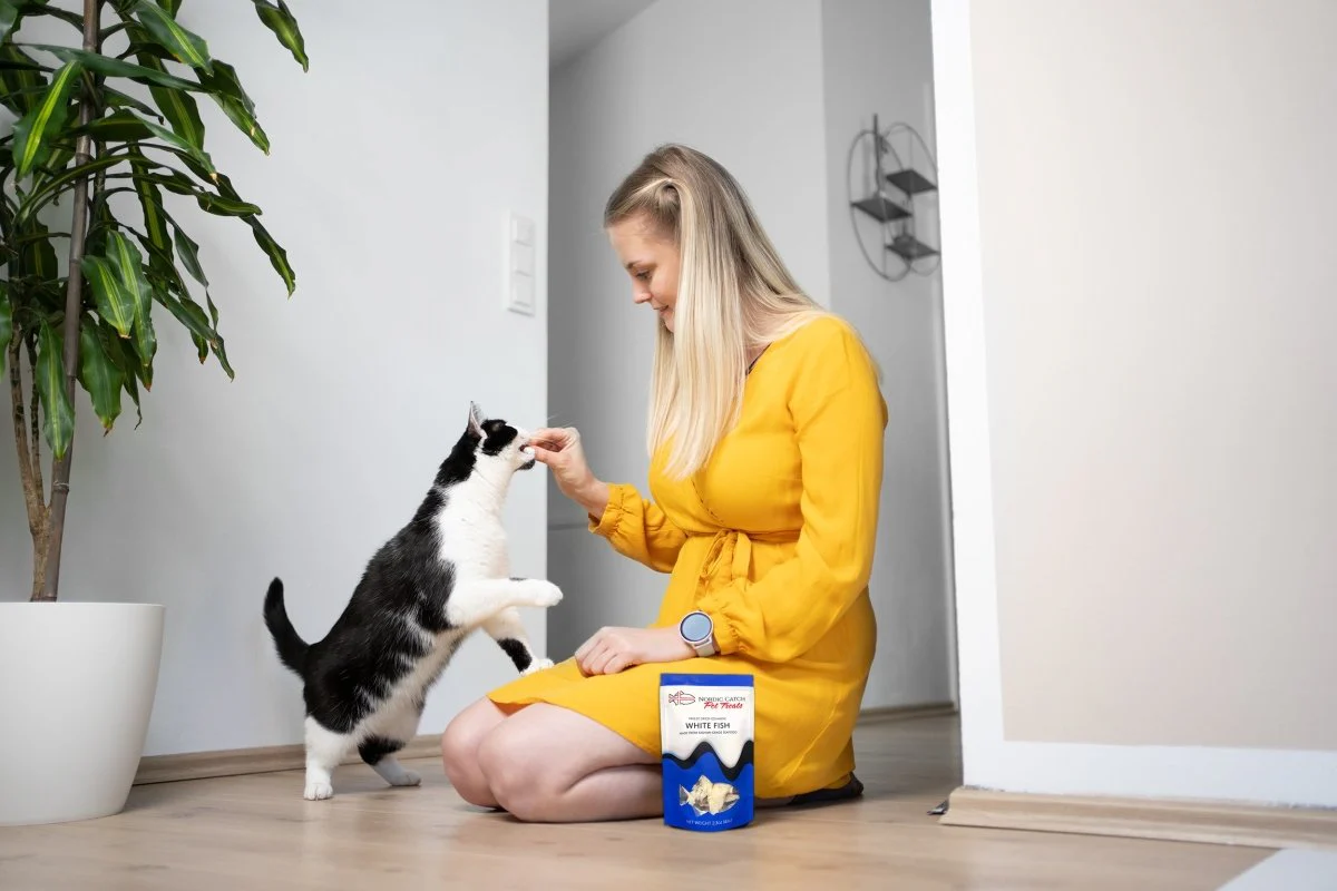 Freeze Dried Salmon Pet Treats - Image 3