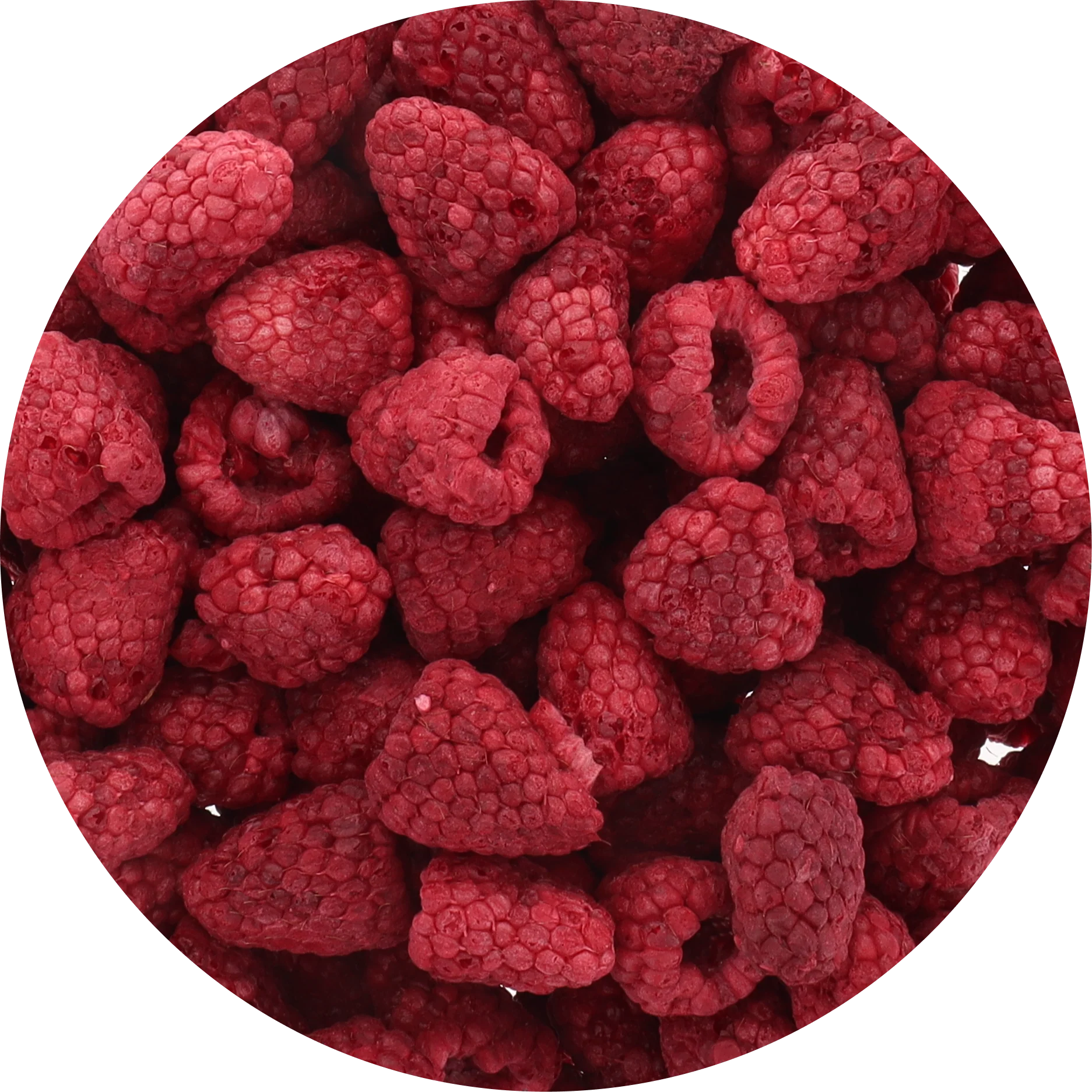 Freeze Dried Whole Raspberry - Image 4