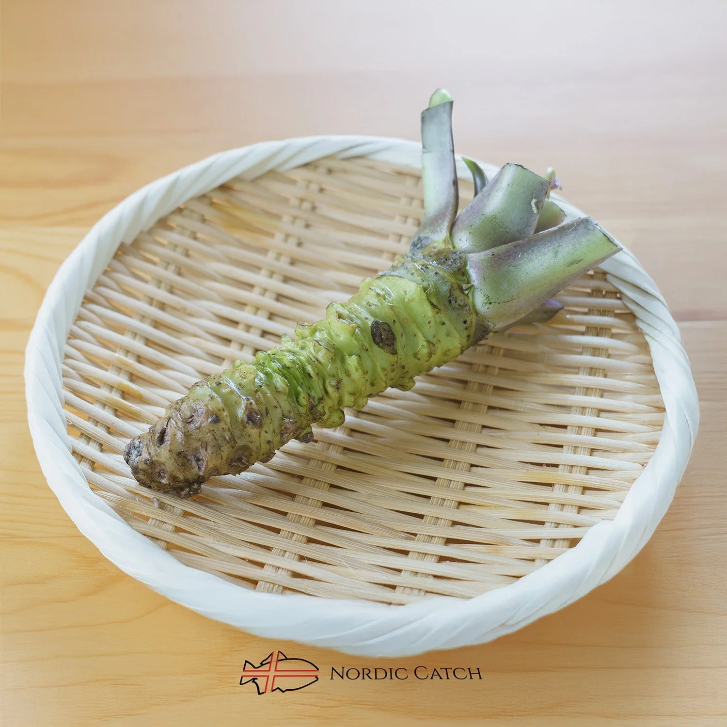 Fresh Japanese Wasabi Root + Steel Shark Grater Bundle - Image 6