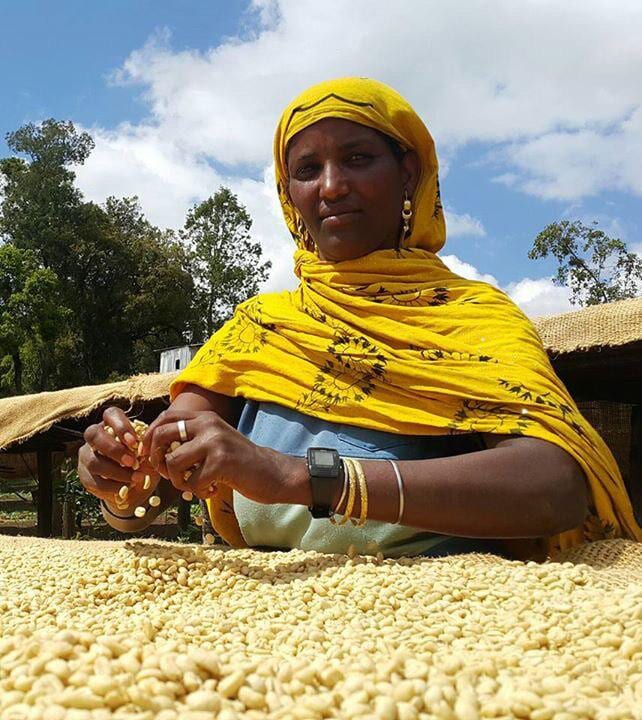 Fresh Perspective - Ethiopia - Image 3