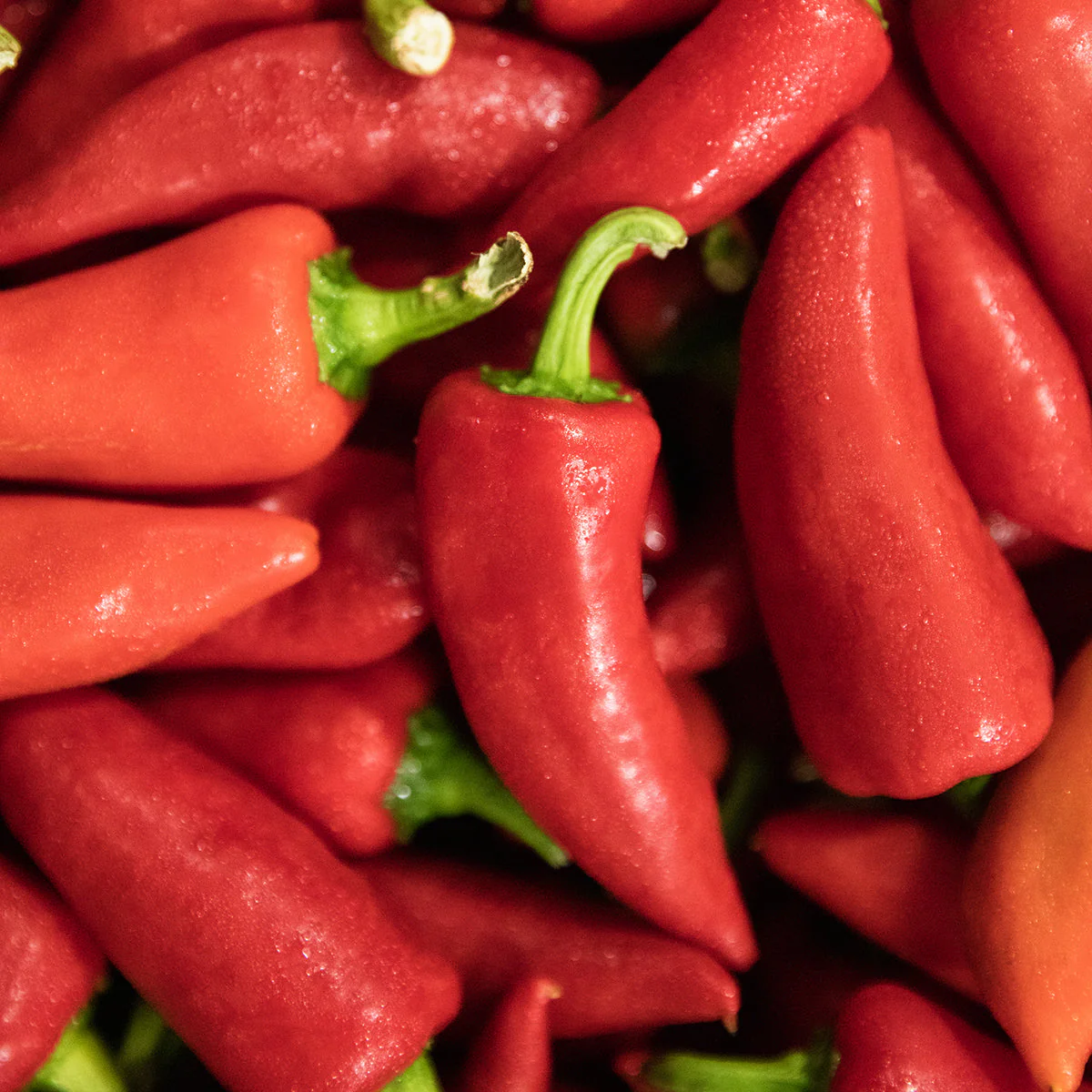 Fresno & Thai Spicy Chili Jam - Image 4