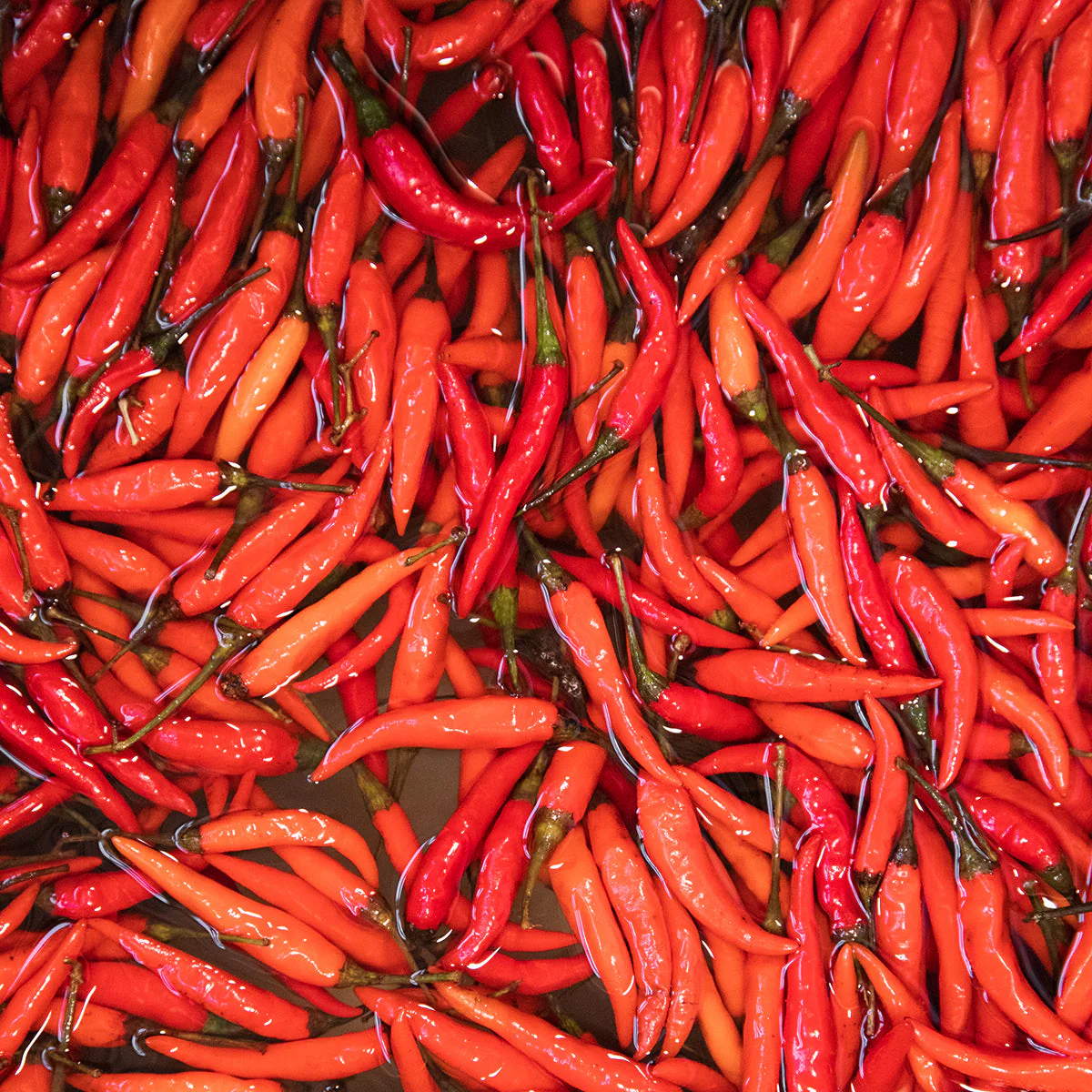 Fresno & Thai Spicy Chili Jam - Image 5