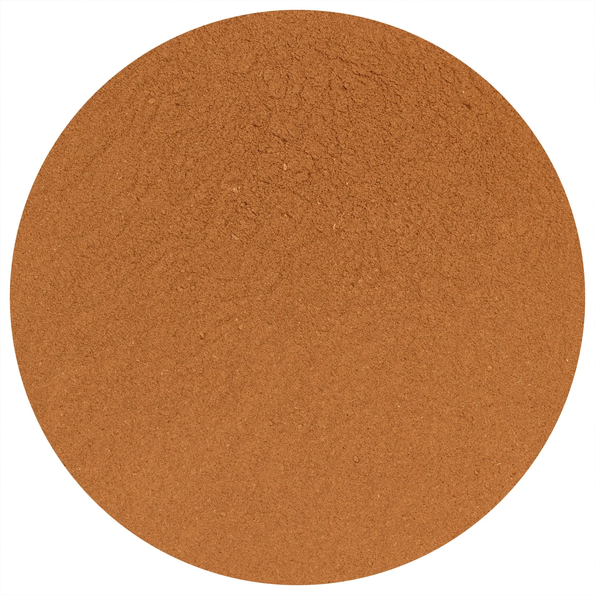 Galangal Powder - Image 2