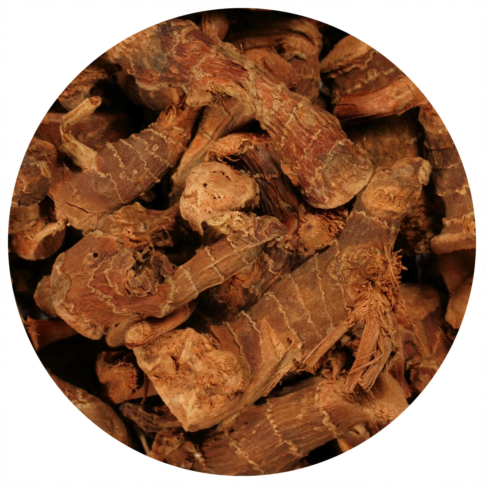 Galangal (Whole) - Image 2