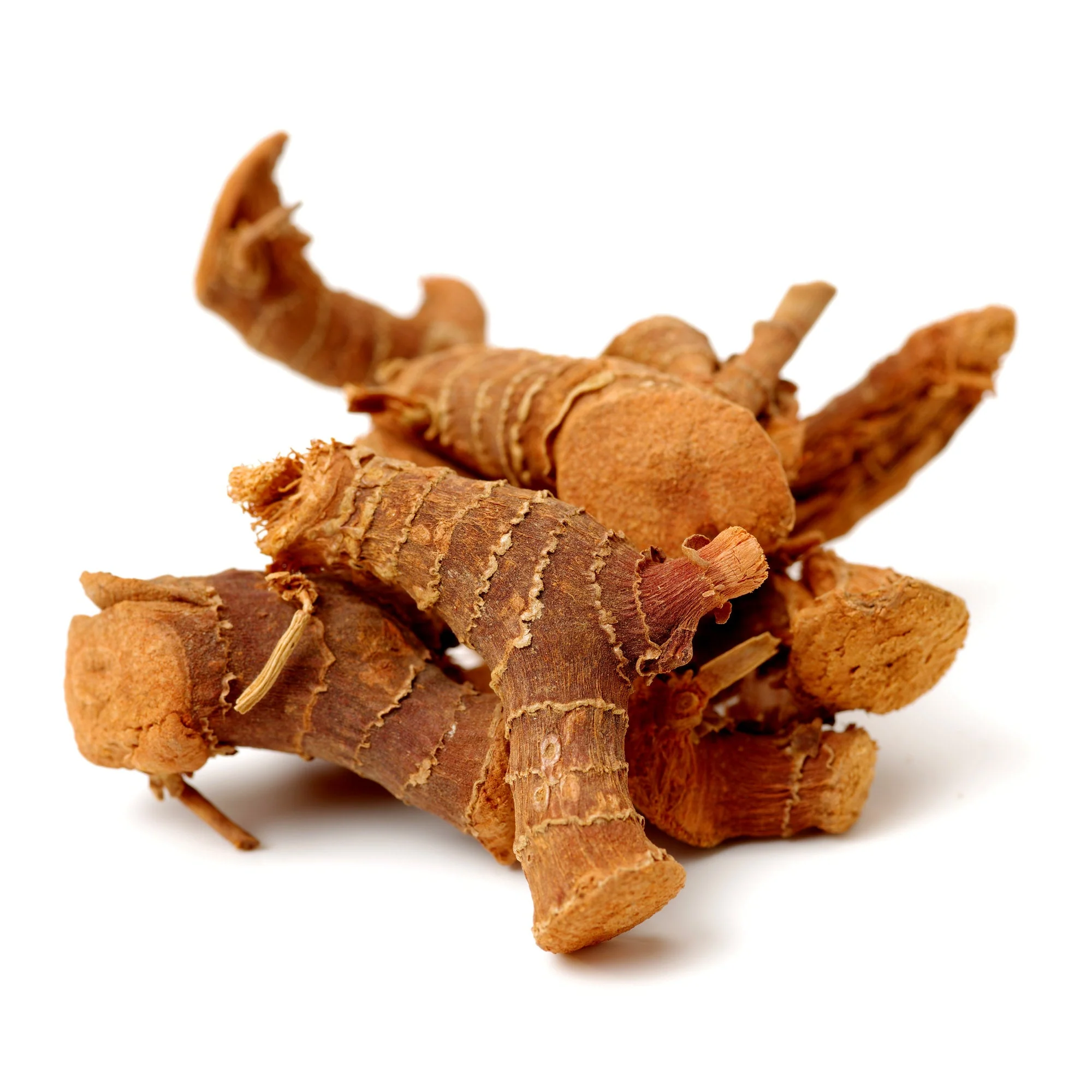 Galangal (Whole) - Image 5