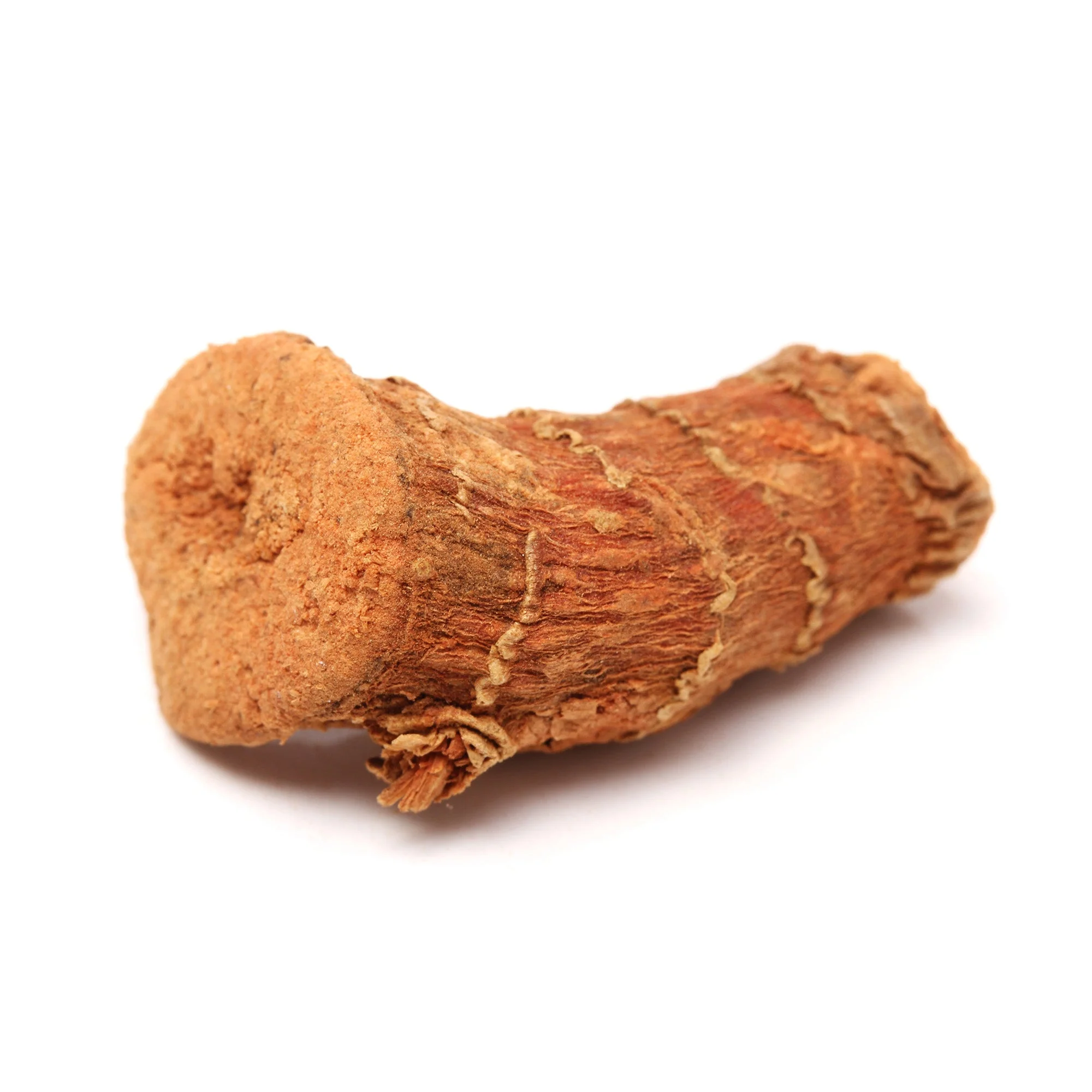 Galangal (Whole) - Image 7