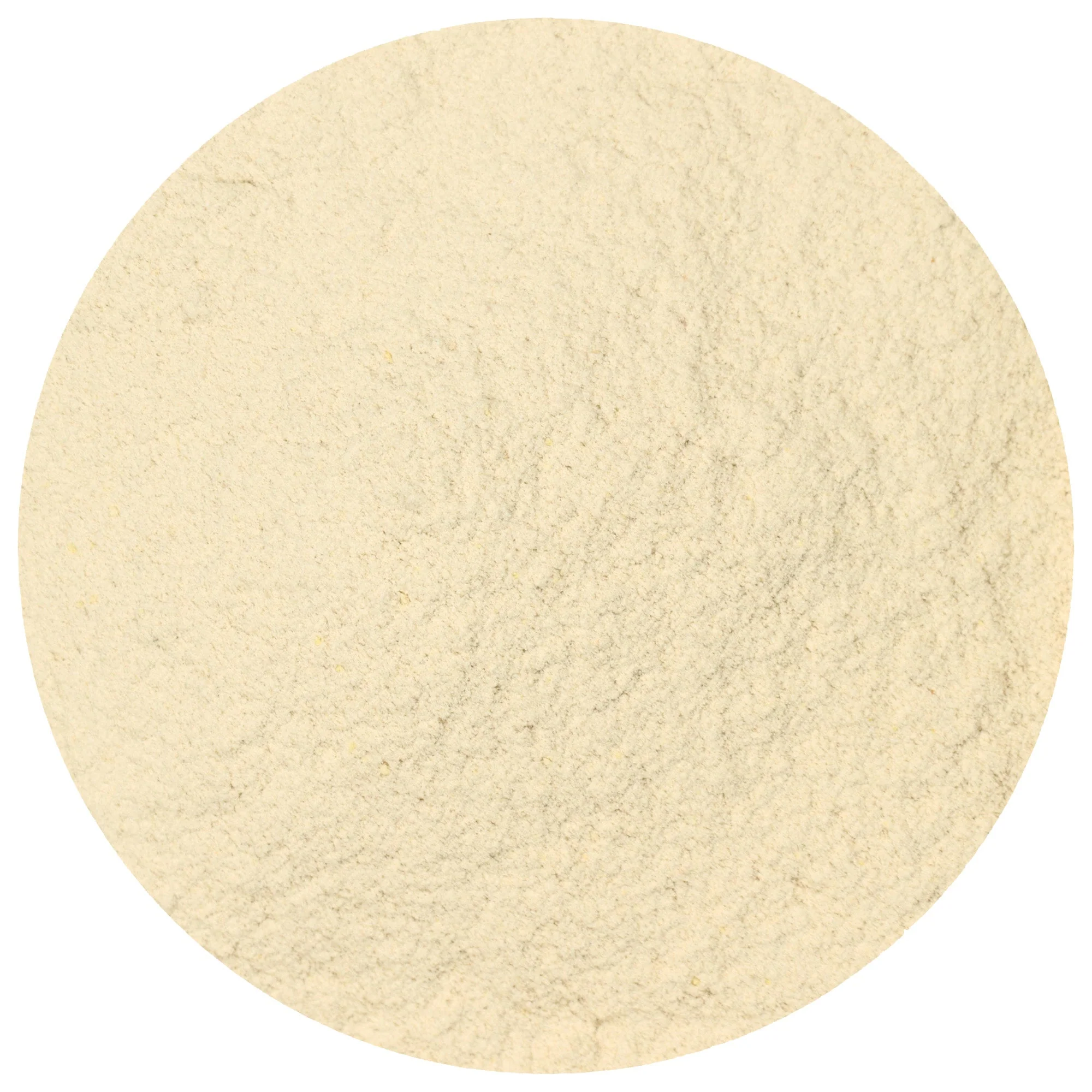 Garlic Powder - Image 2