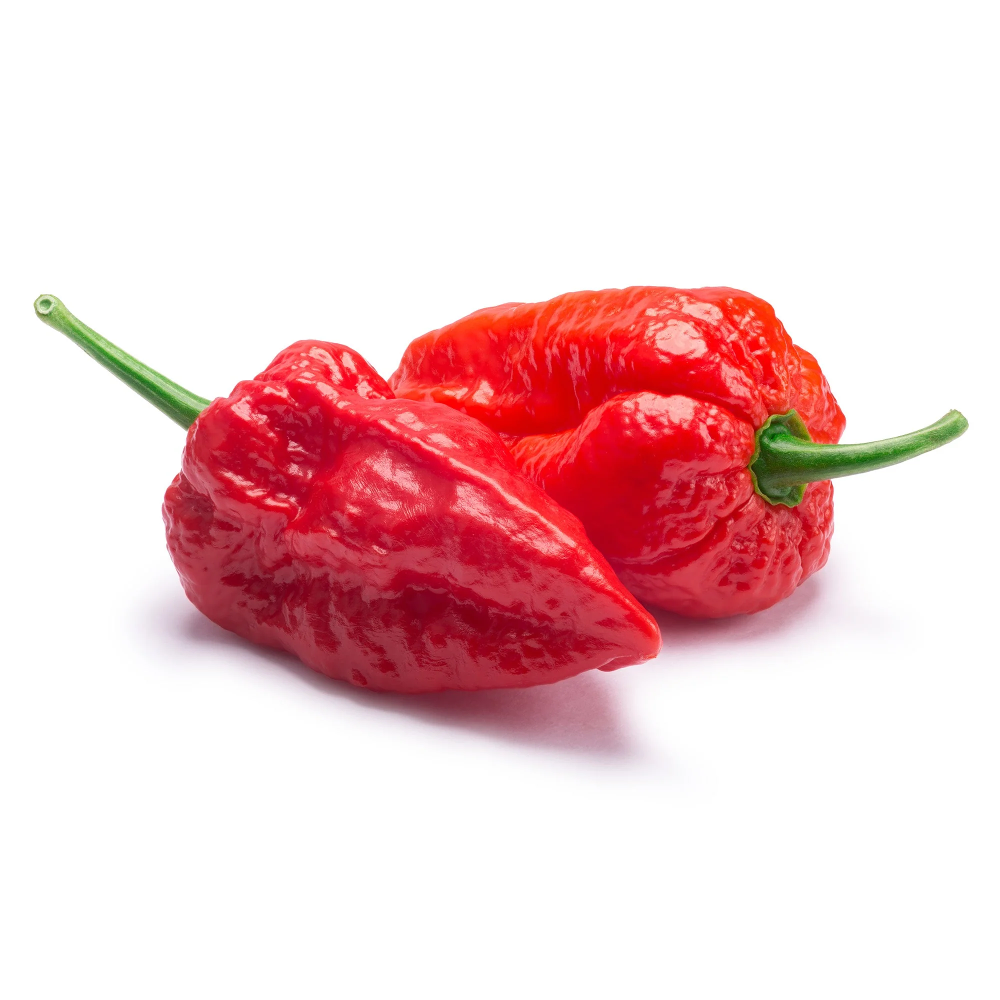 Ghost Pepper Powder - Image 7