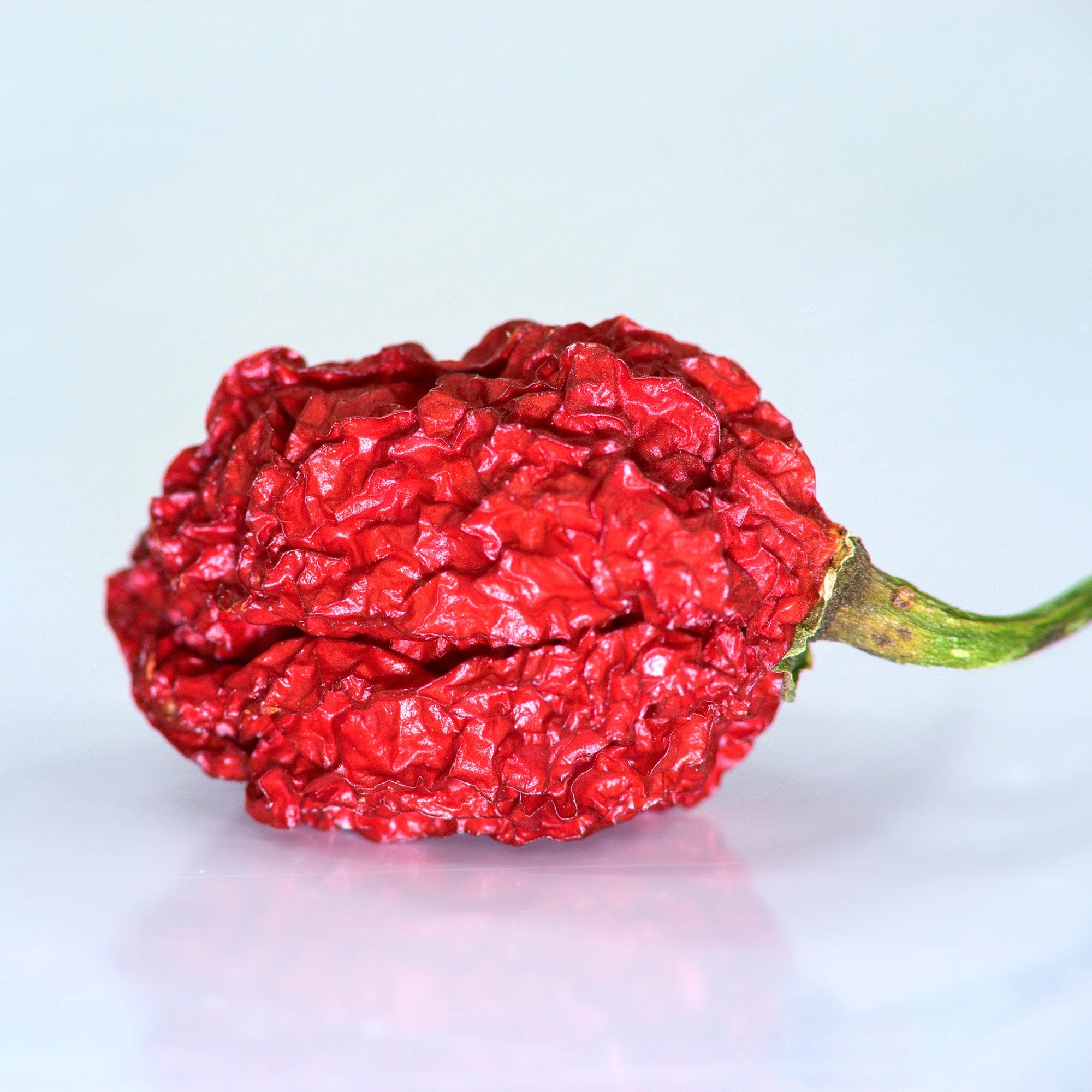 Ghost Pepper Salt (Naga Jolokia) – XXX Extra Hot - Image 11
