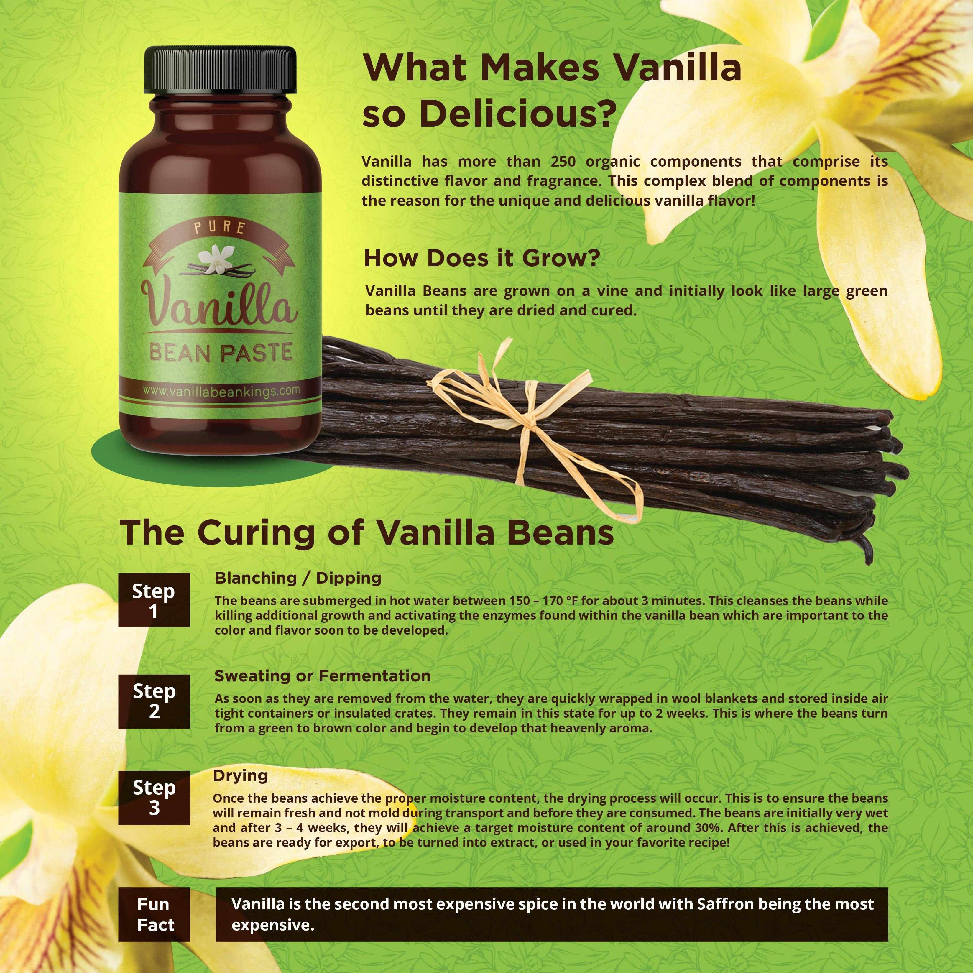 Gourmet Madagascar Vanilla Bean Paste - With Real Vanilla Seeds - Image 5