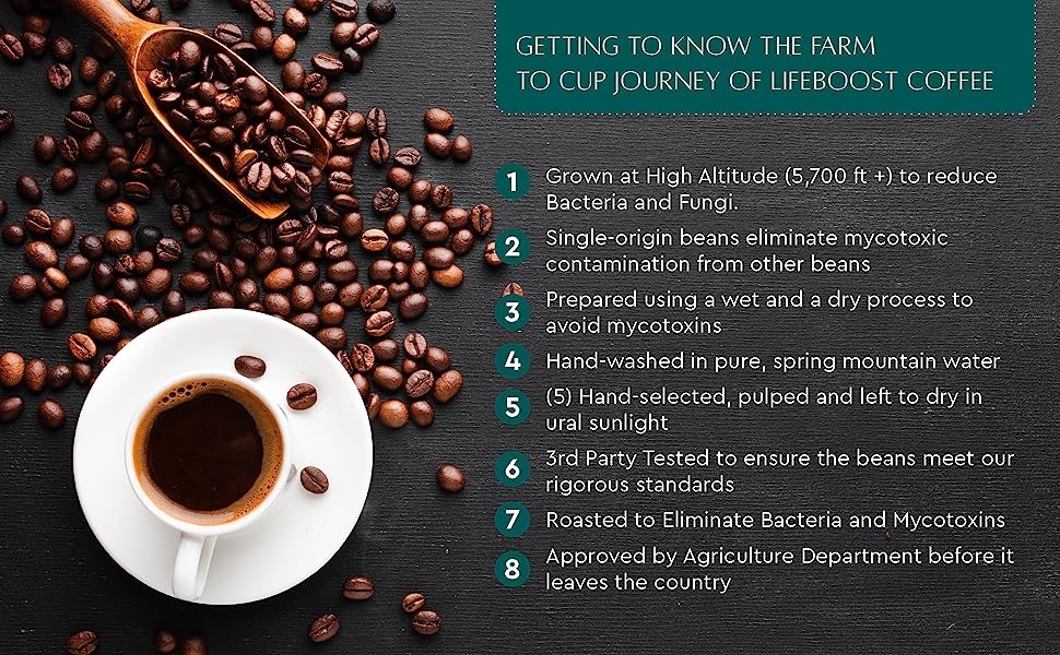 Grata Medium Roast - Image 5