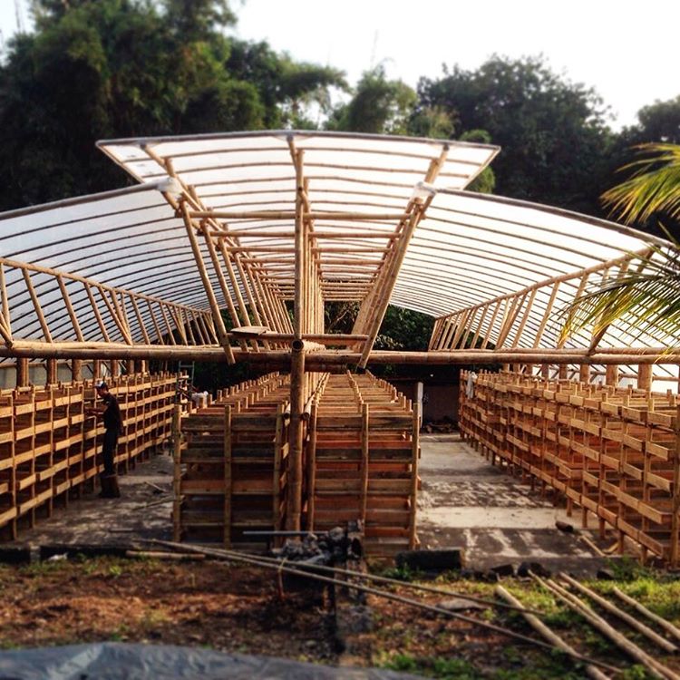 Guatemala - Finca San Jerónimo Miramar - Image 7