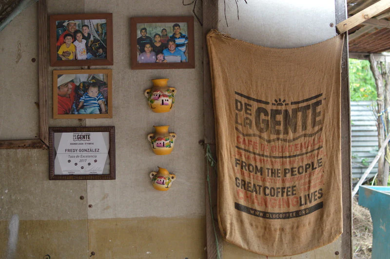 Guatemala - Fredy Gonzalez - Image 7