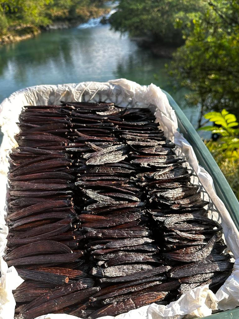 Guatemala Vanilla Beans - Whole Grade A Vanilla Pods for Vanilla Extract and Baking - Image 10
