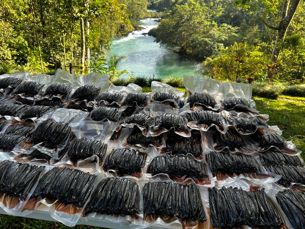 Guatemala Vanilla Beans - Whole Grade A Vanilla Pods for Vanilla Extract and Baking - Image 6