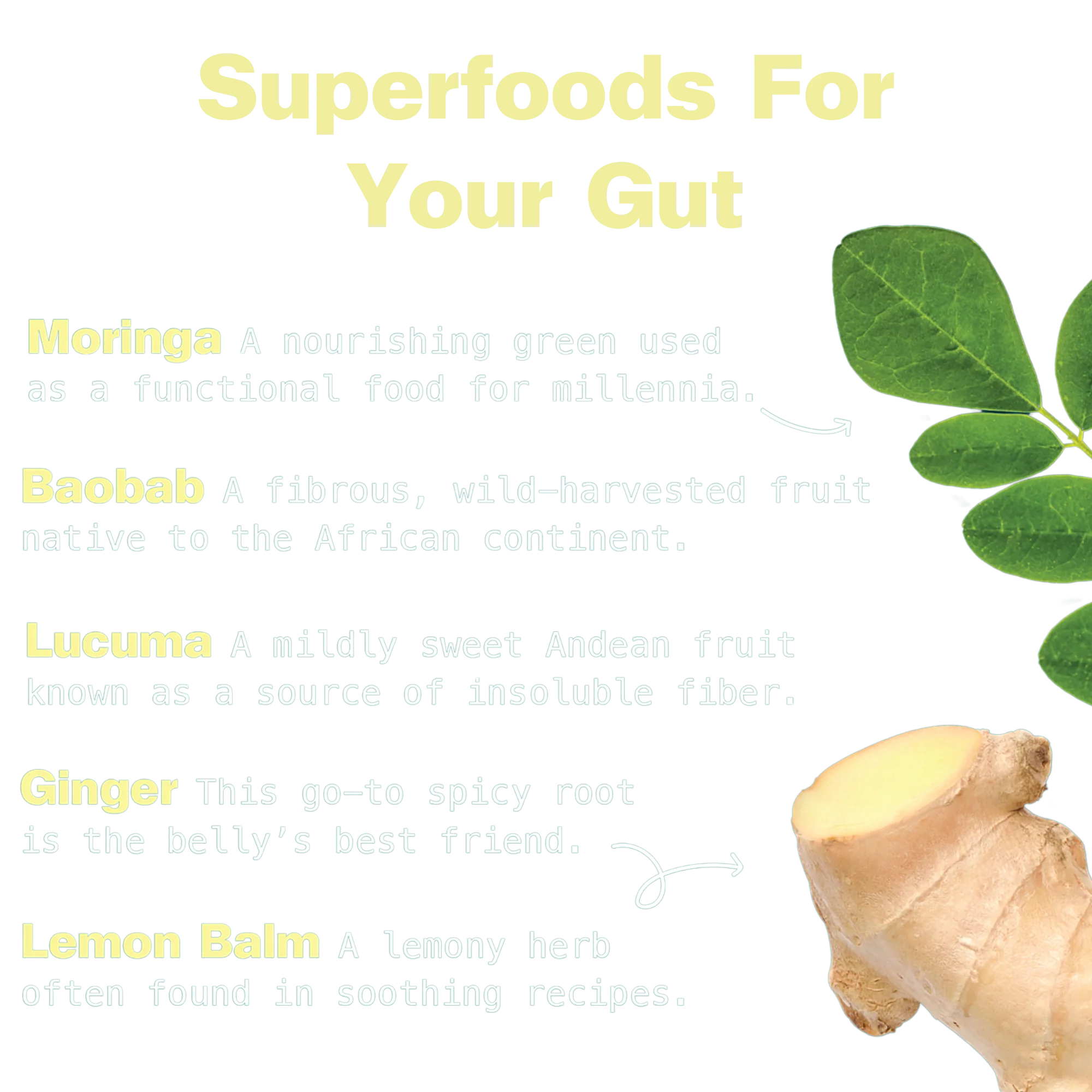 Gut Bliss Superfood Blend - Image 4