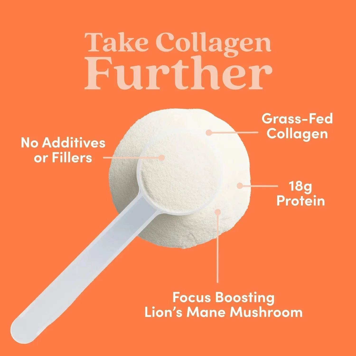 Hazelnut Collagen Peptides Powder - Image 5