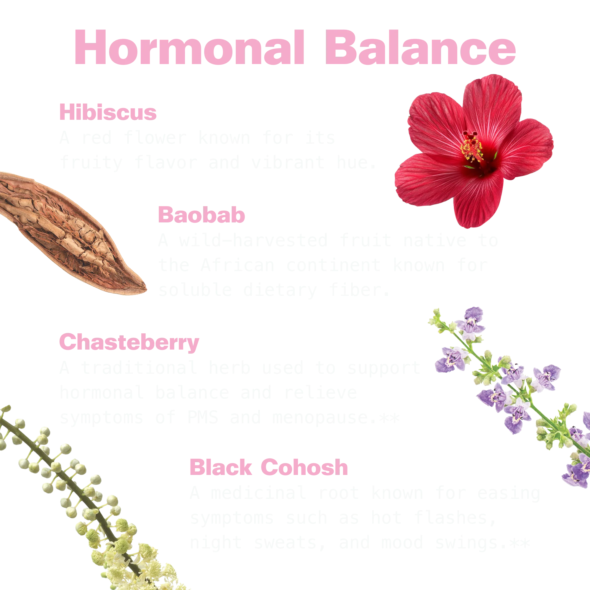 Her Power Superfood Drink Mix - Image 5