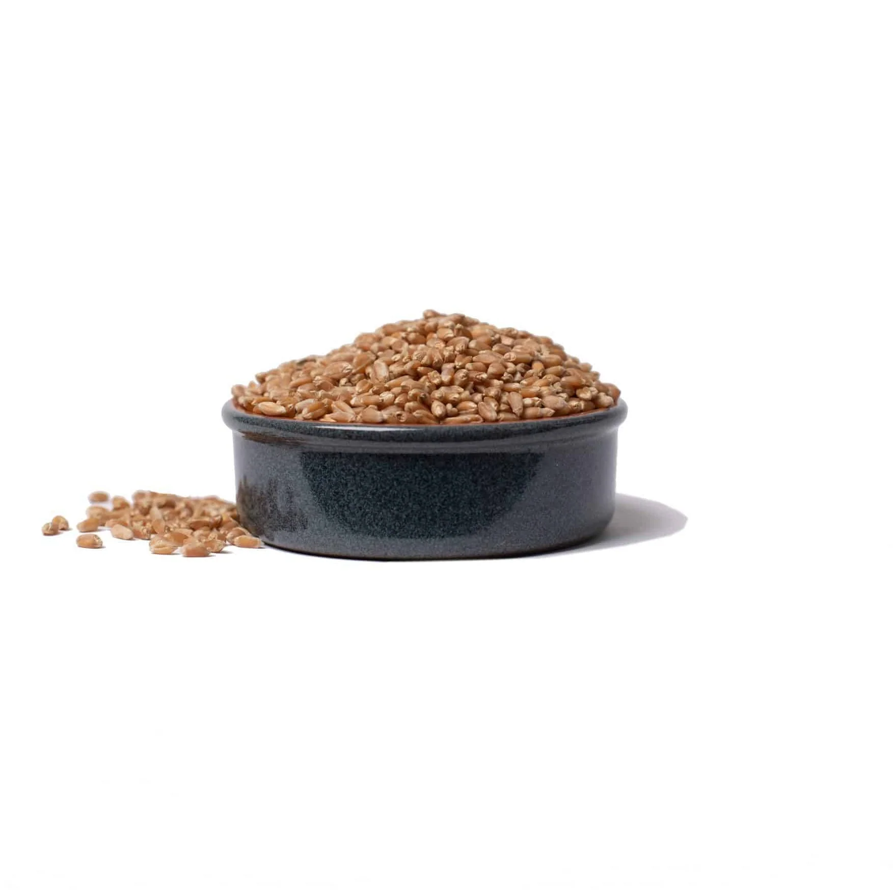 Heritage Hard Red Wheat Berries - Image 4