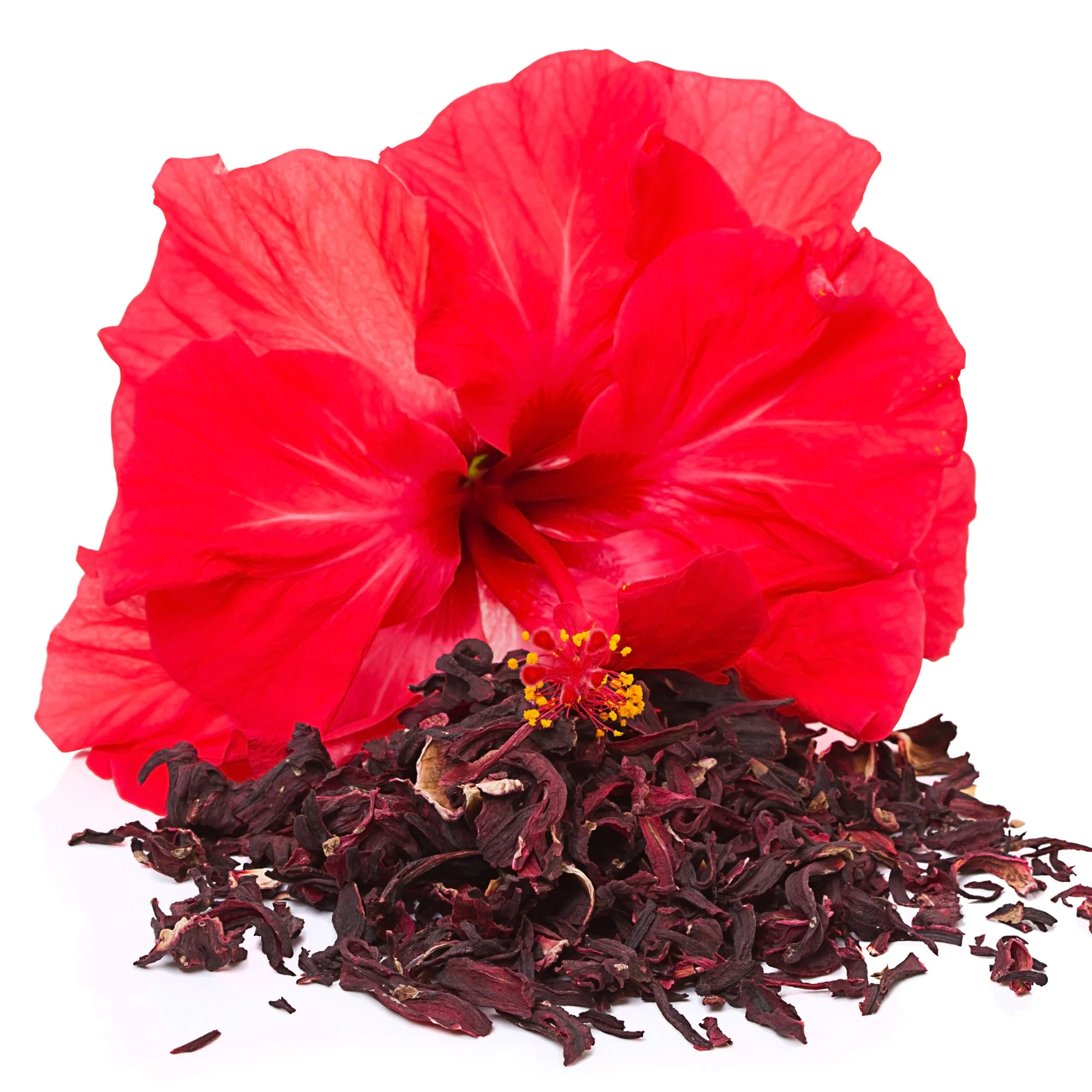 Hibiscus Flowers (Whole) - Image 8