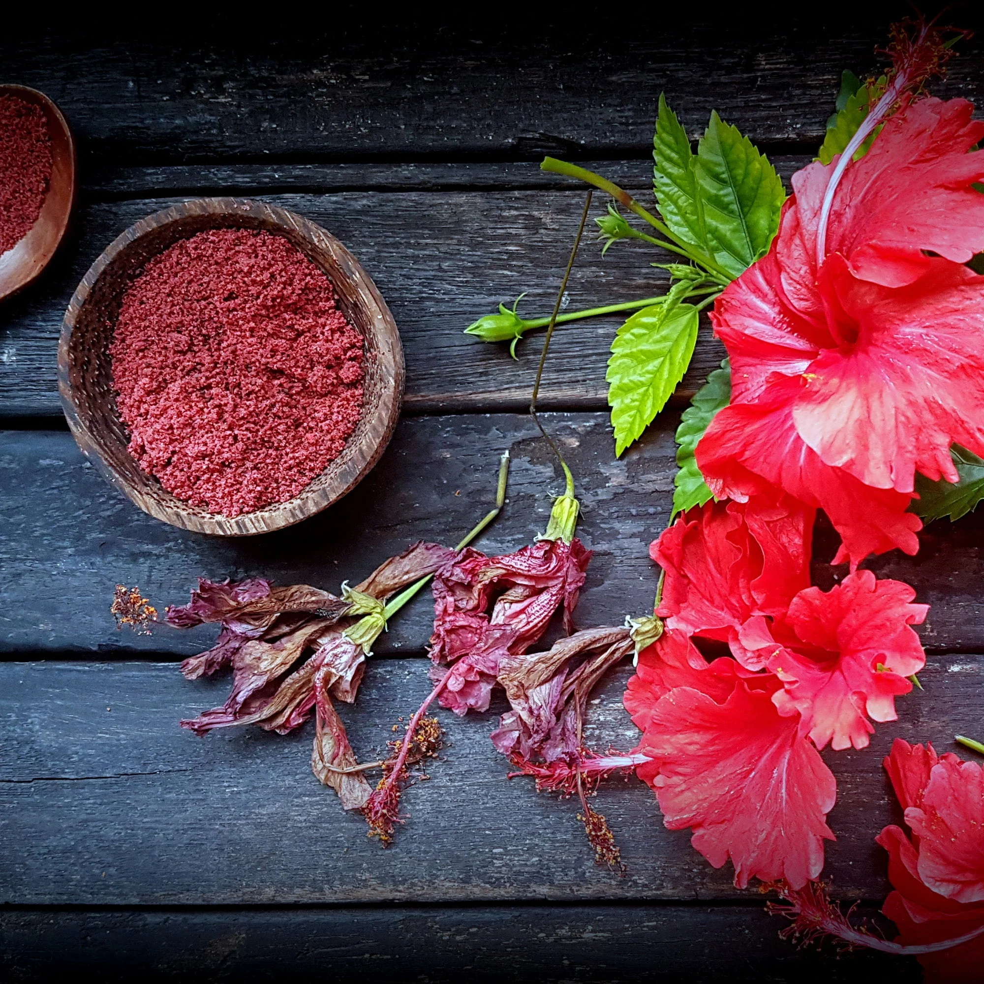 Hibiscus Powder - Image 9