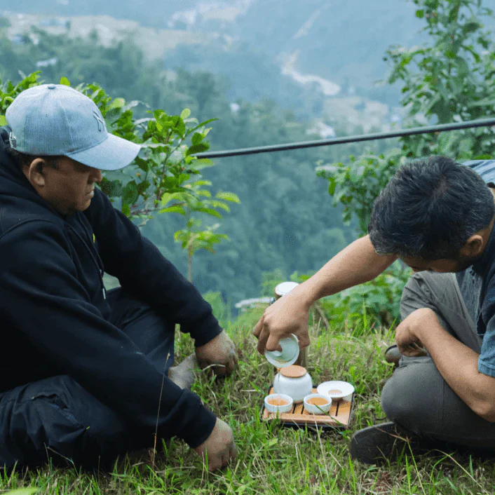 Himalayan Mist (Special Green Tea) - 15 Pyramid Tea Bags - Image 3