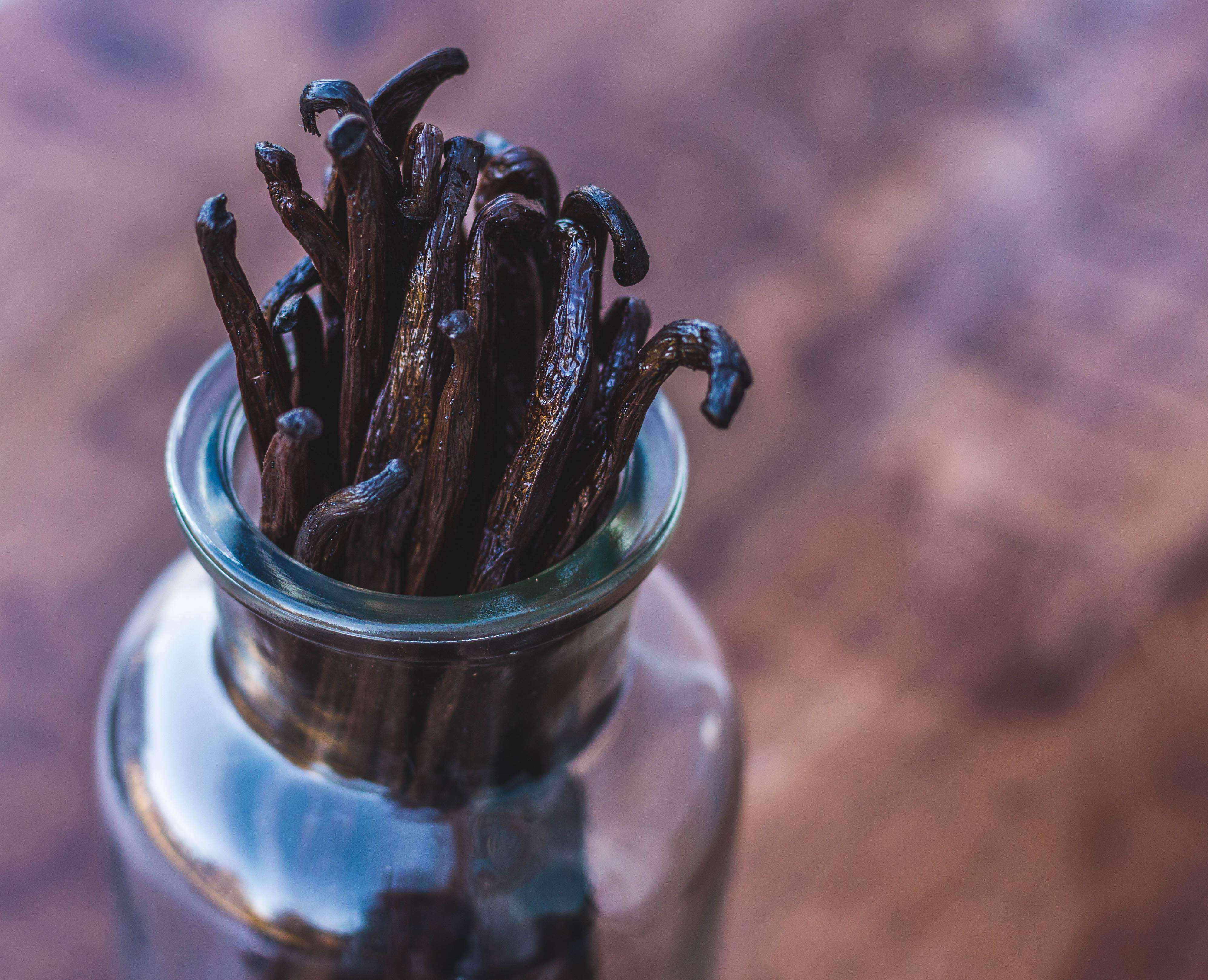 Homemade Vanilla Extract Kit with Organic Madagascar Vanilla Beans - Image 5