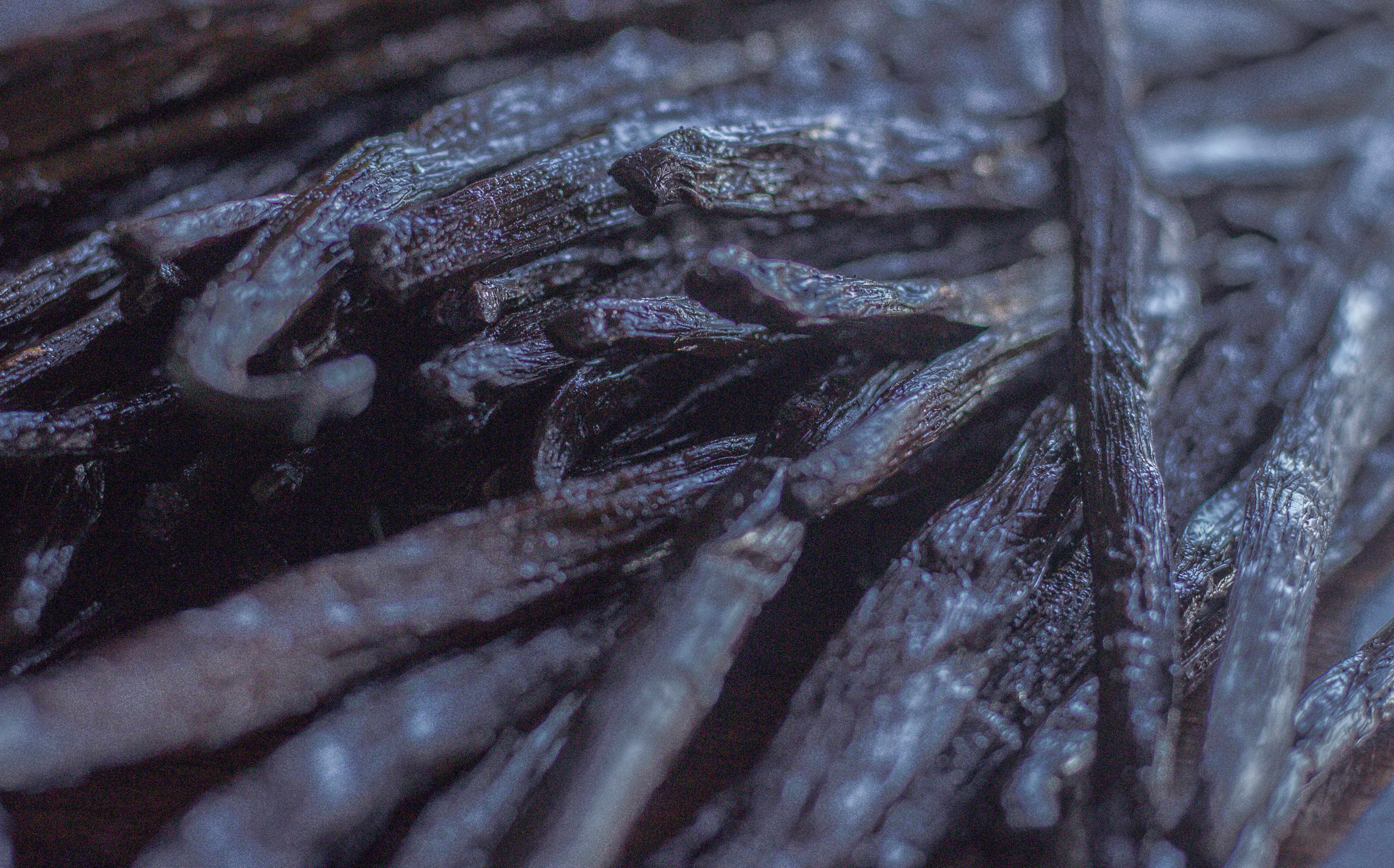 Homemade Vanilla Extract Kit with Organic Madagascar Vanilla Beans - Image 6
