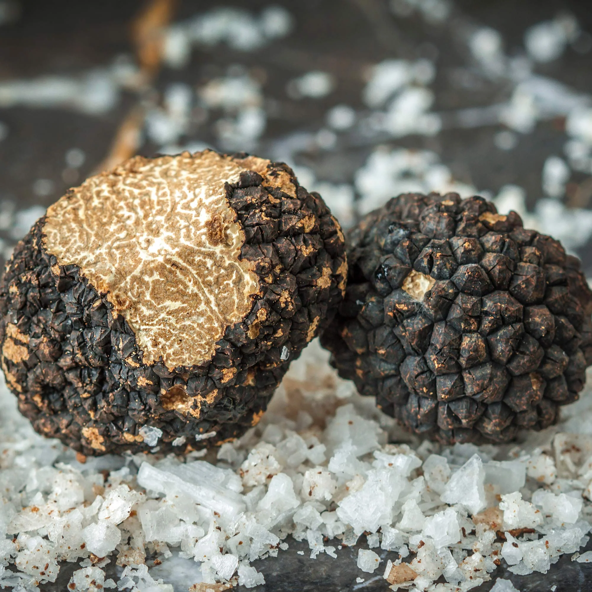 Italian Black Truffle Sea Salt - Image 11