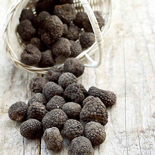 Italian Black Truffle Sea Salt - Image 8