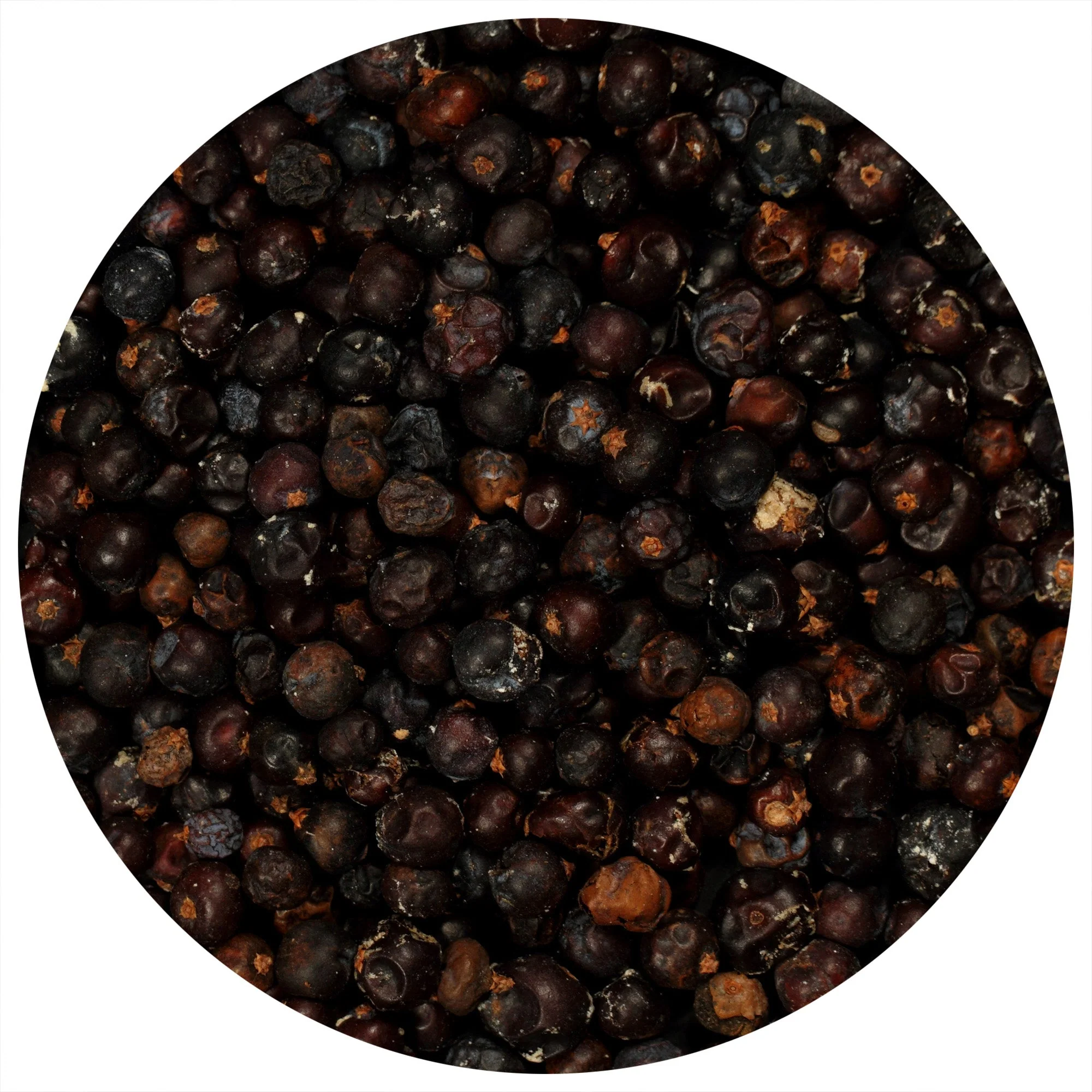 Juniper Berries (Whole) - Image 2