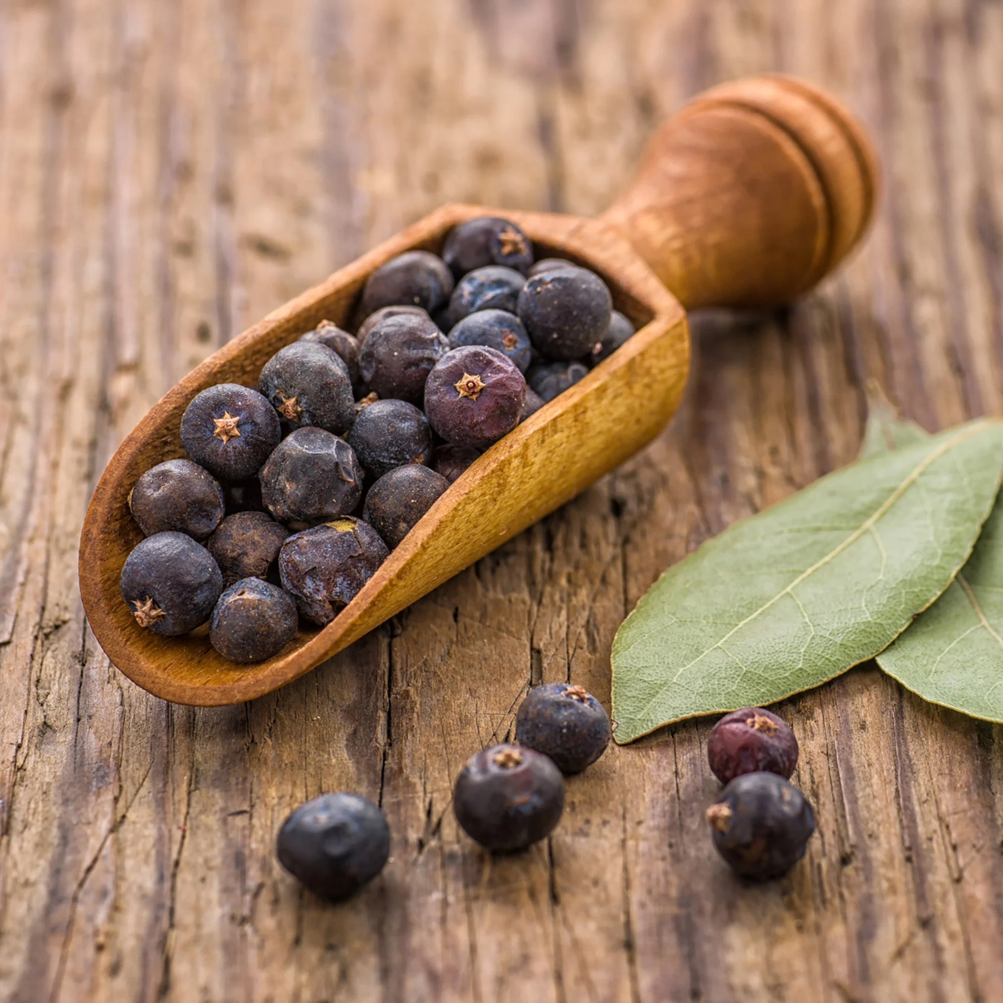 Juniper Berries (Whole) - Image 6