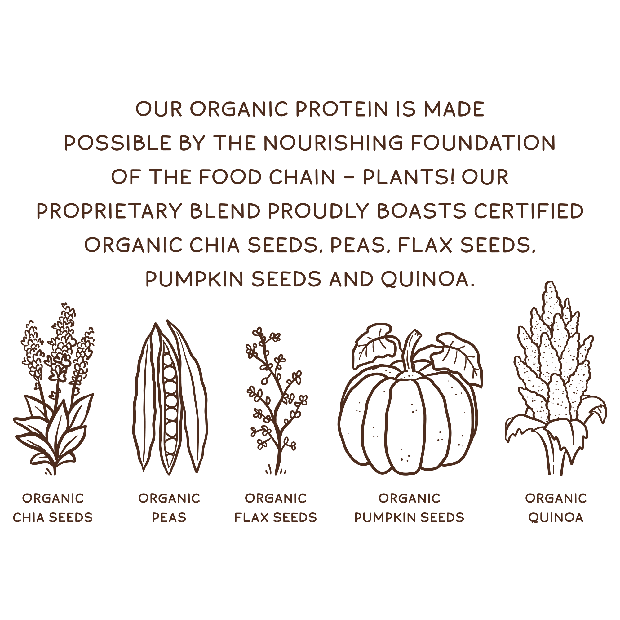 Organic Plant Protein, Chocolate, 28 Servings - Image 9