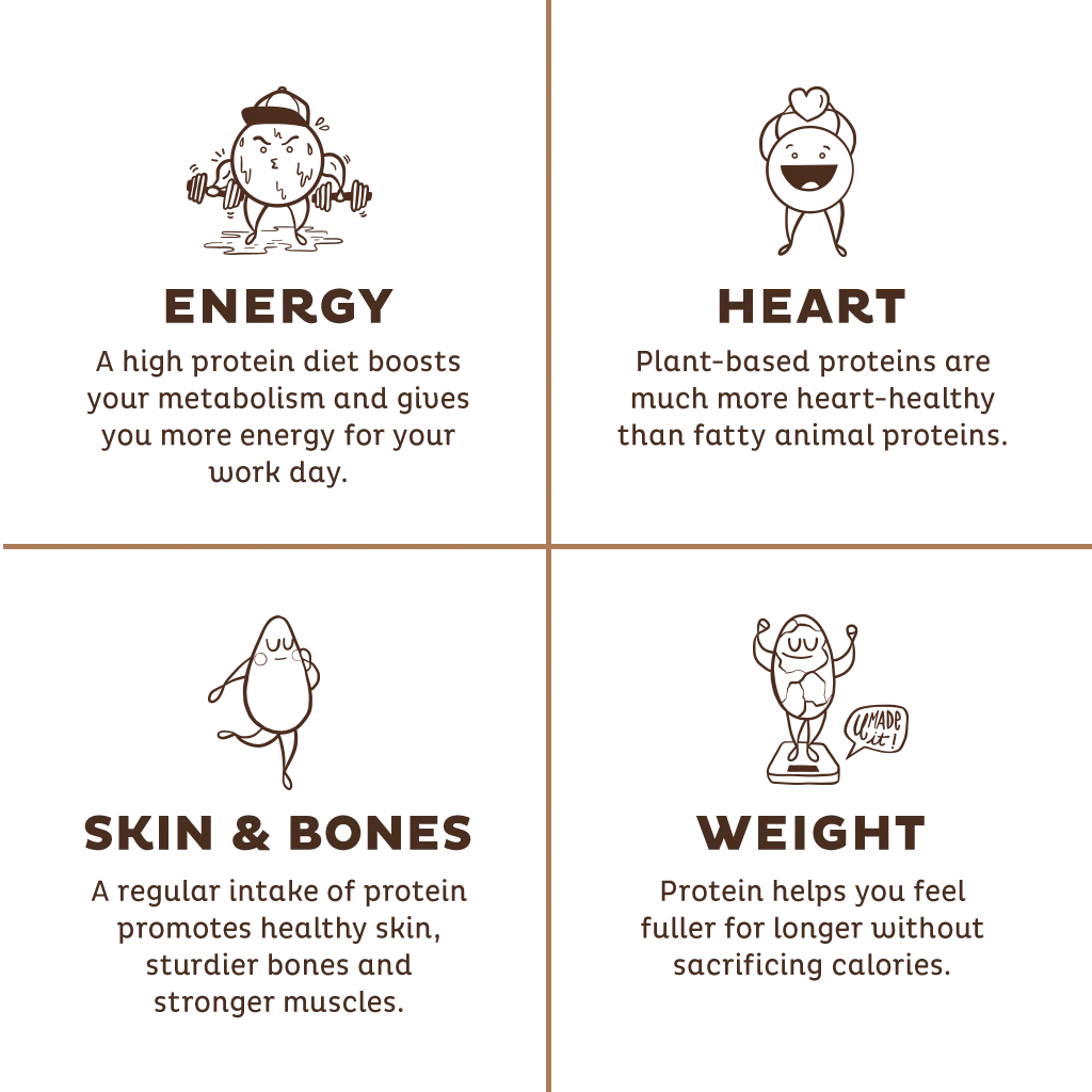 Organic Plant Protein, Chocolate Peanut Butter, Single Serving - Image 6