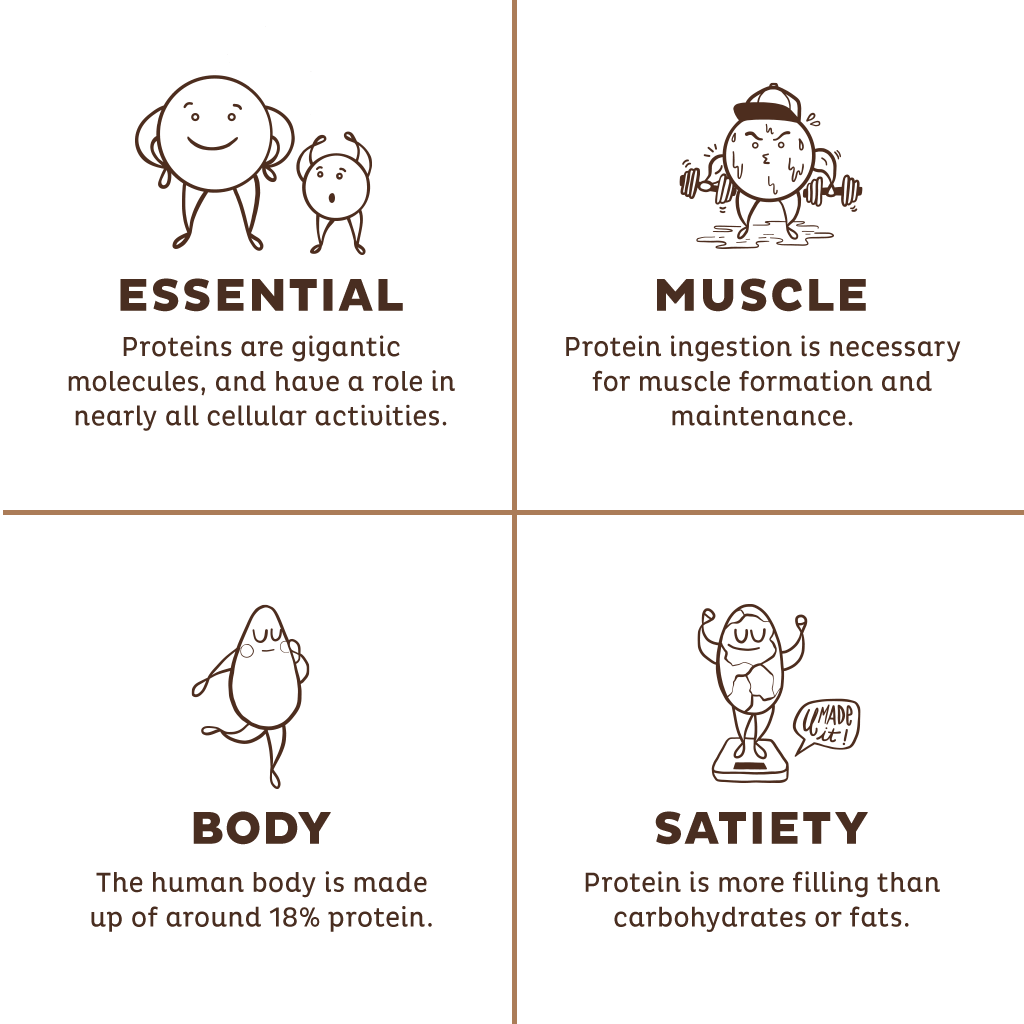 Organic Plant Protein, Chocolate, Single Serving - Image 5