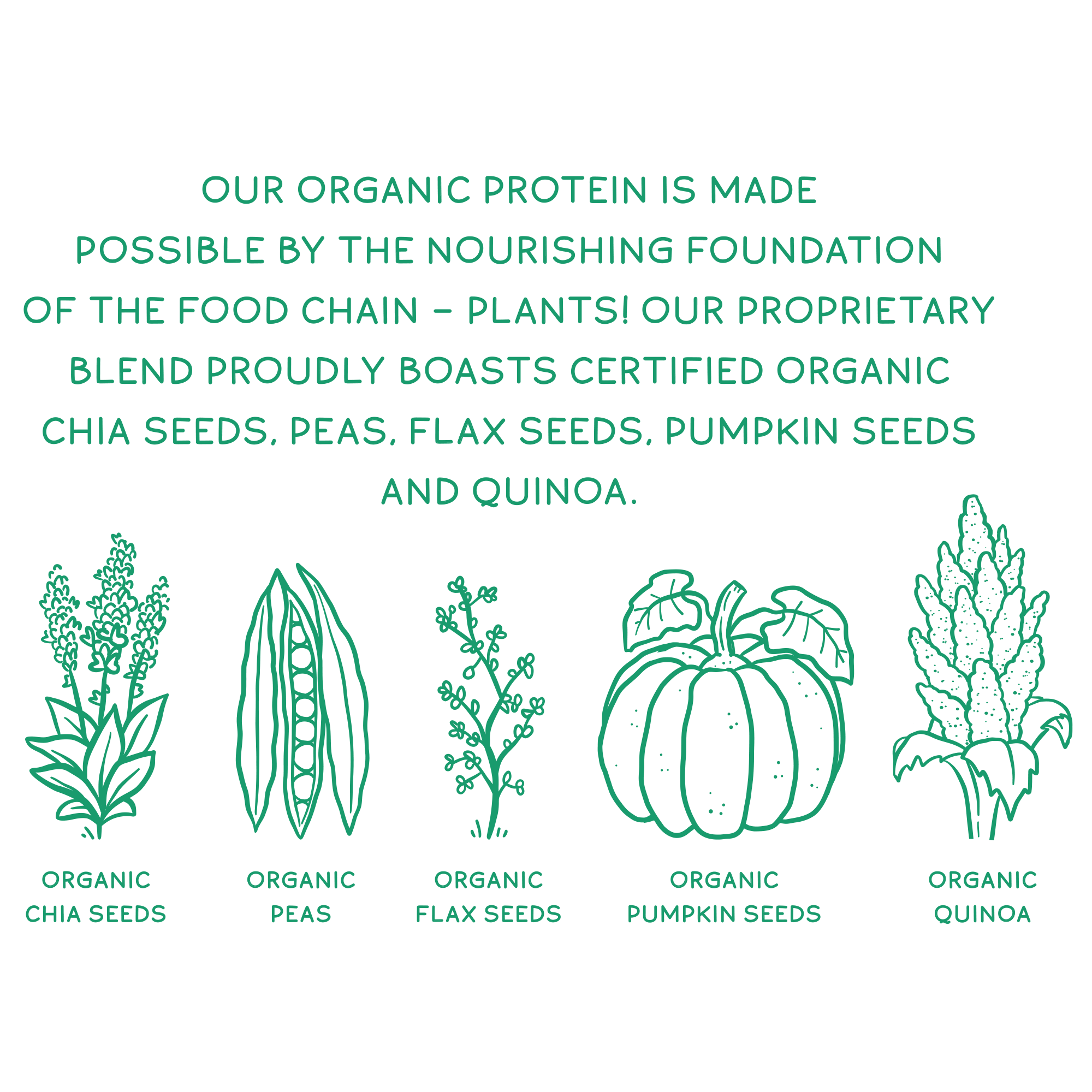 Organic Plant Protein, Unflavored & Unsweetened, 28 Servings - Image 10