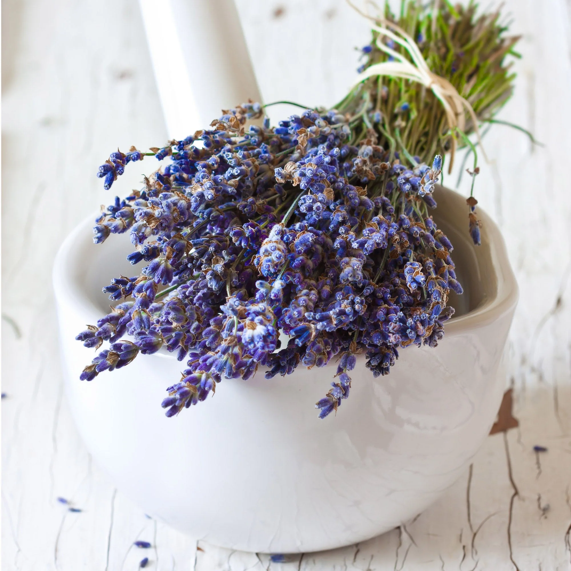 Lavender Flowers "Super Blue” (Whole) - Image 10