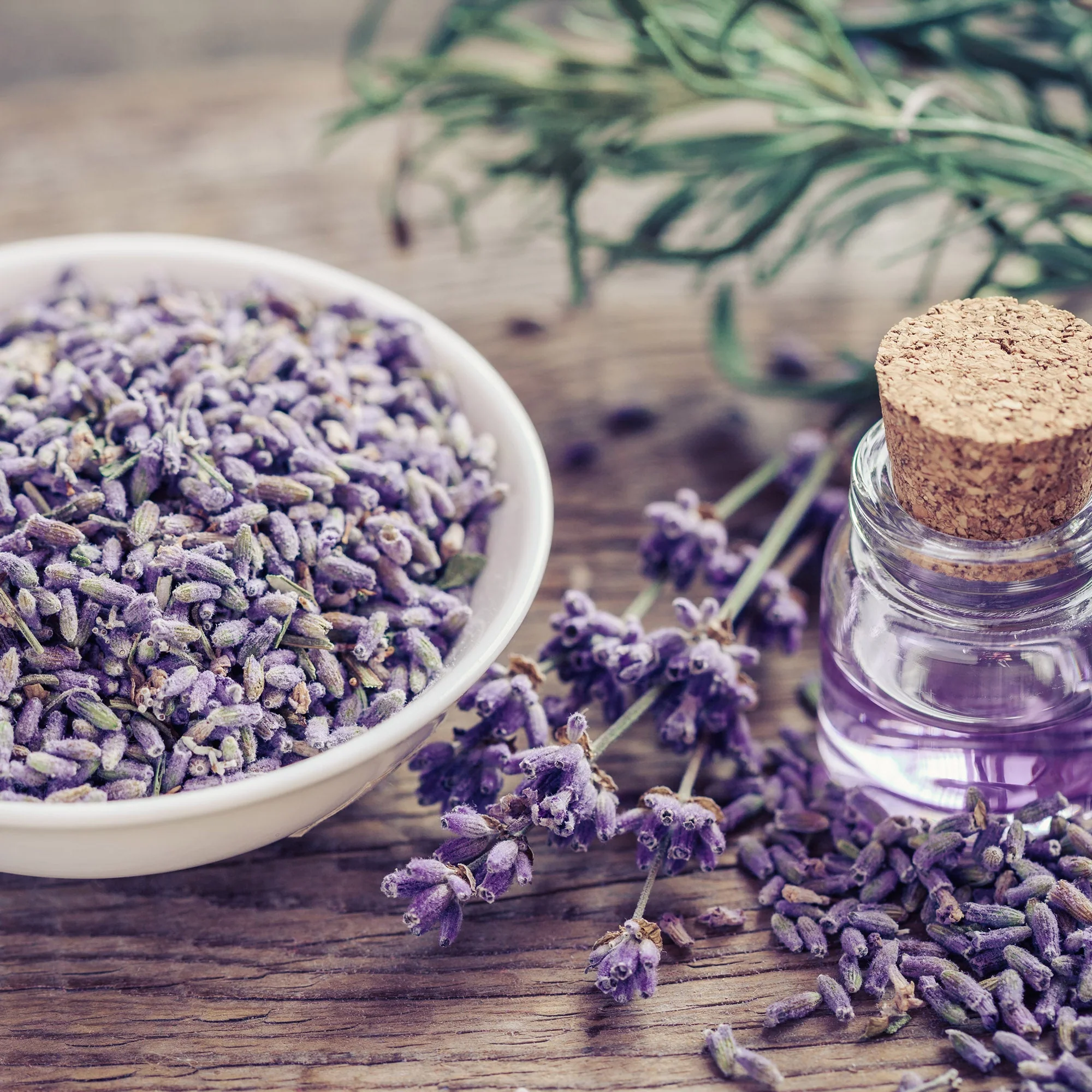 Lavender Flowers "Super Blue” (Whole) - Image 11