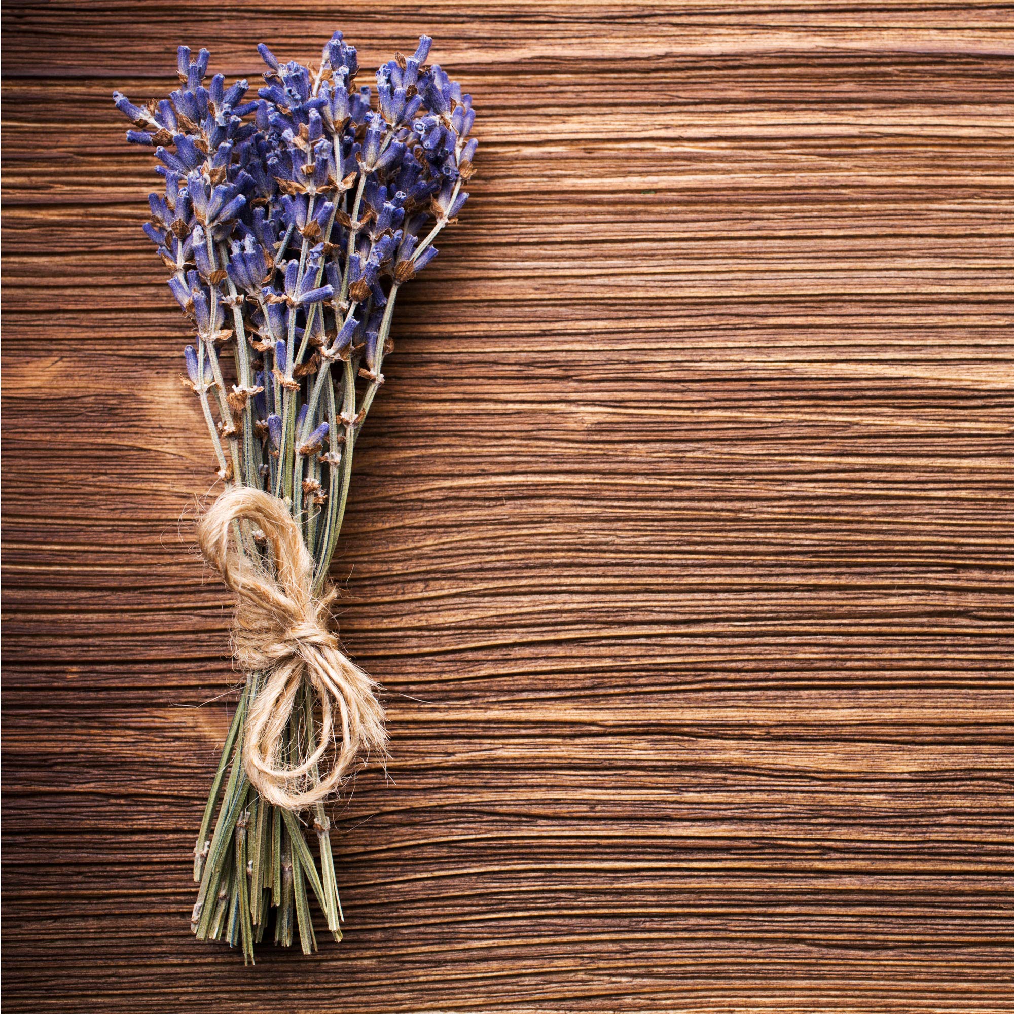 Lavender Flowers "Super Blue” (Whole) - Image 13