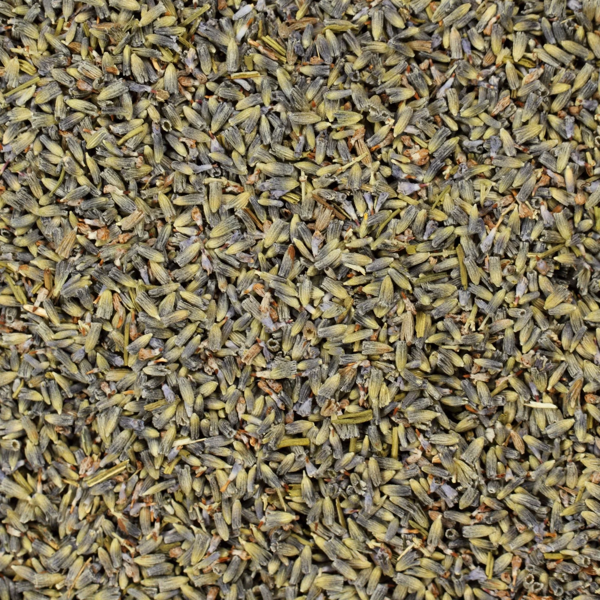 Lavender Flowers "Super Blue” (Whole) - Image 15