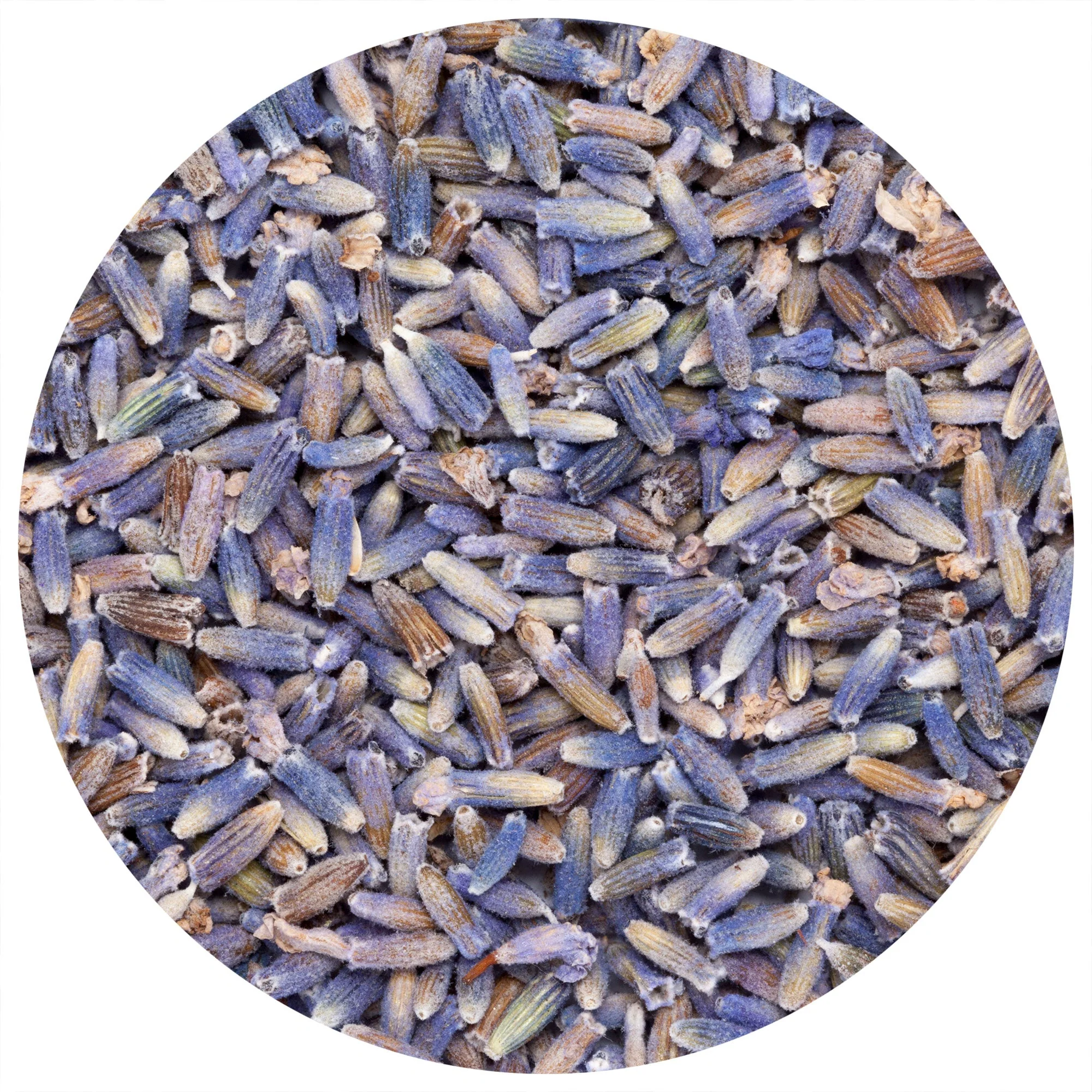 Lavender Flowers "Super Blue” (Whole) - Image 2