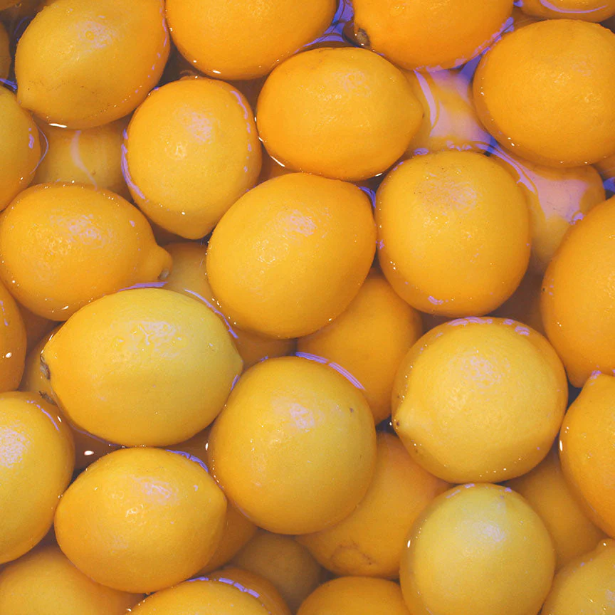 Lemon Champagne Jam - Image 5