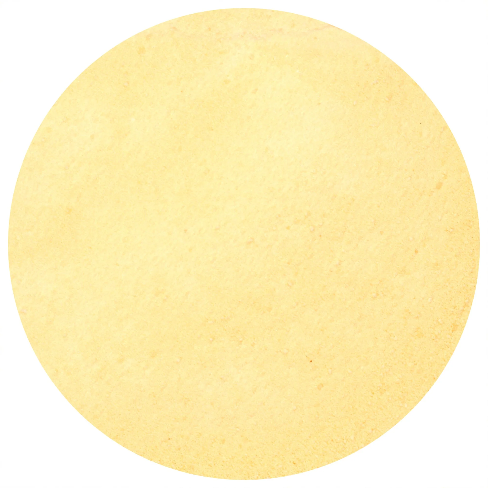 Lemon Juice Powder - Image 2