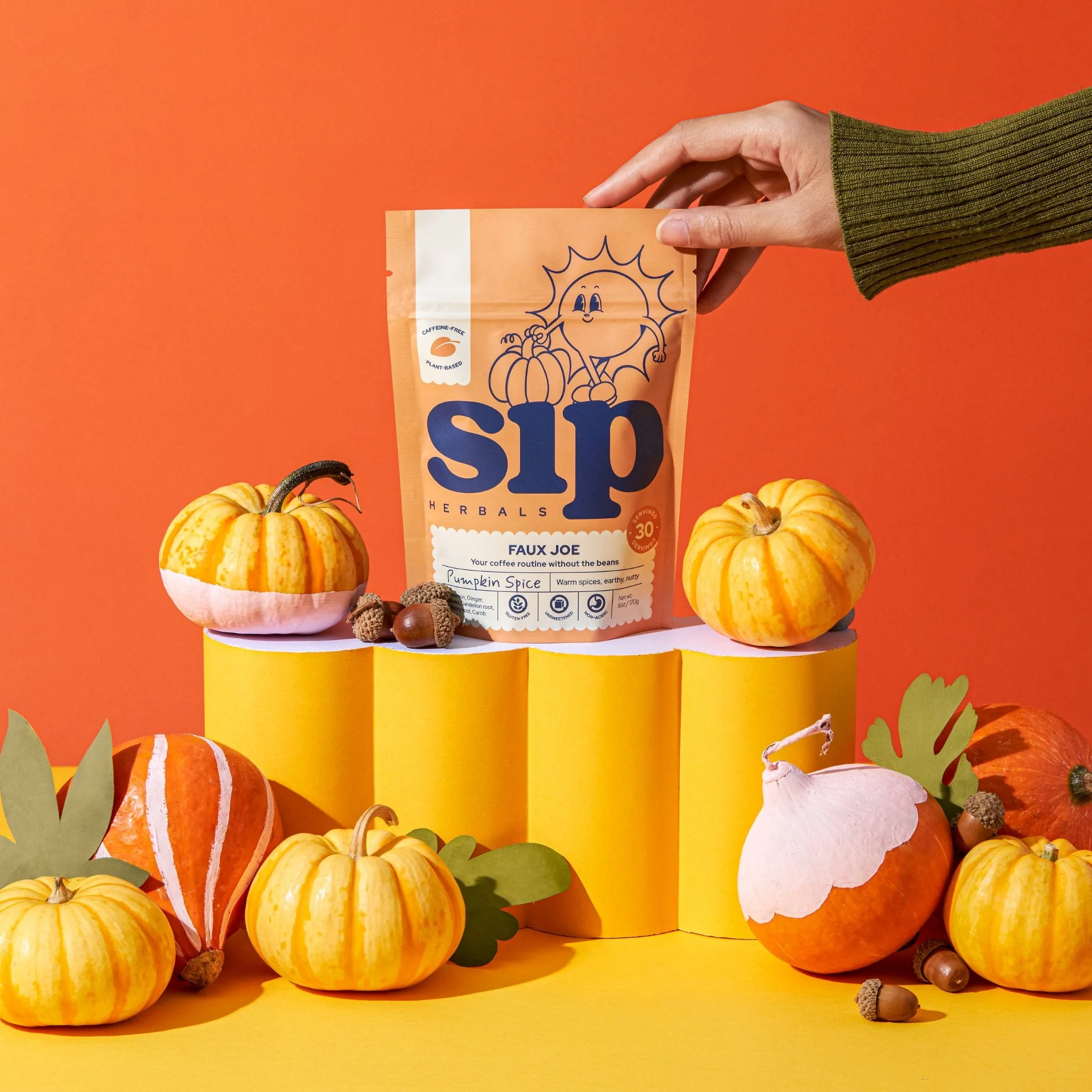 Limited Edition "Pumpkin Spice" Faux Joe Coffee Alternative (Loose Leaf) - Image 2
